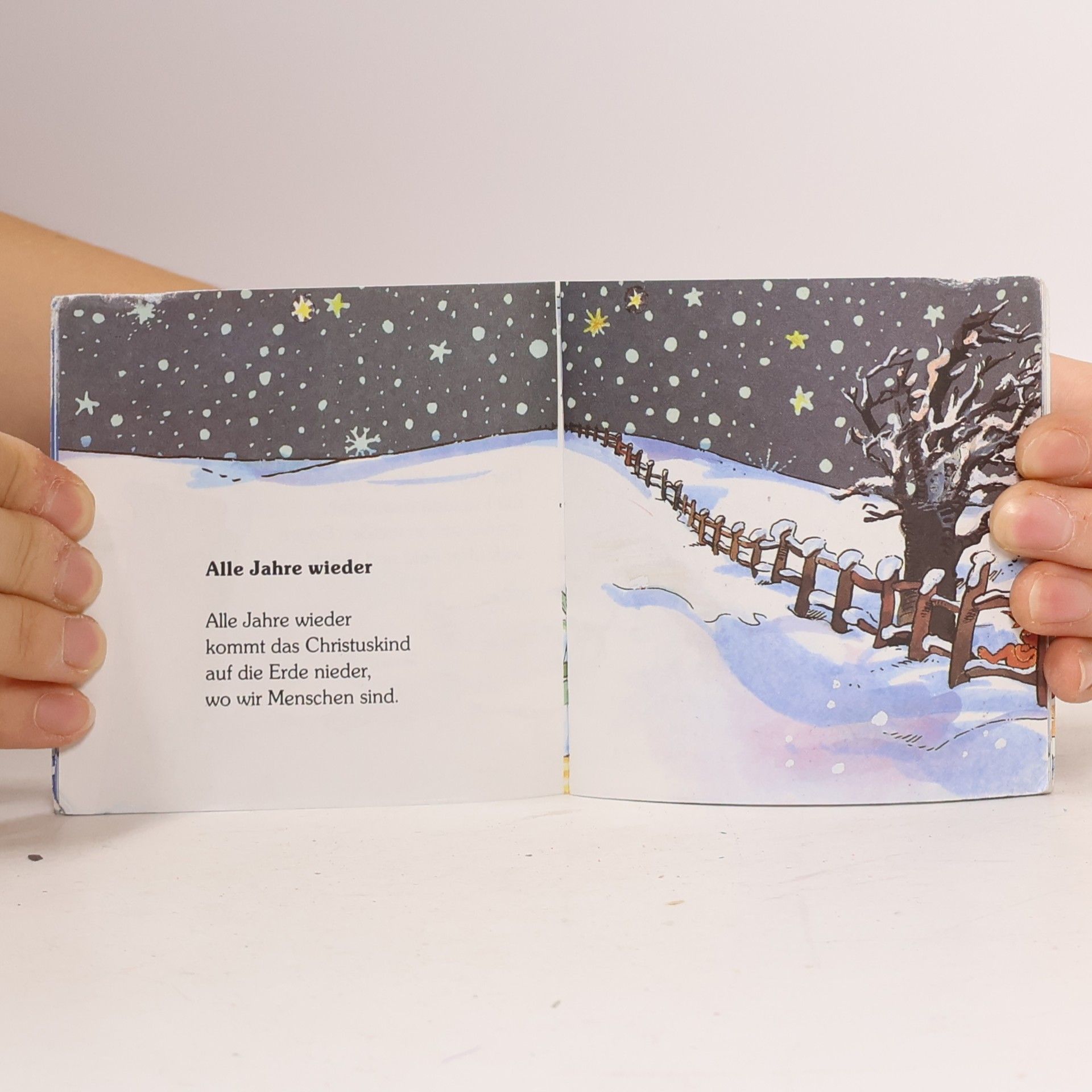 Autorenkollektiv Alle Jahre wieder - Weihnachtslieder