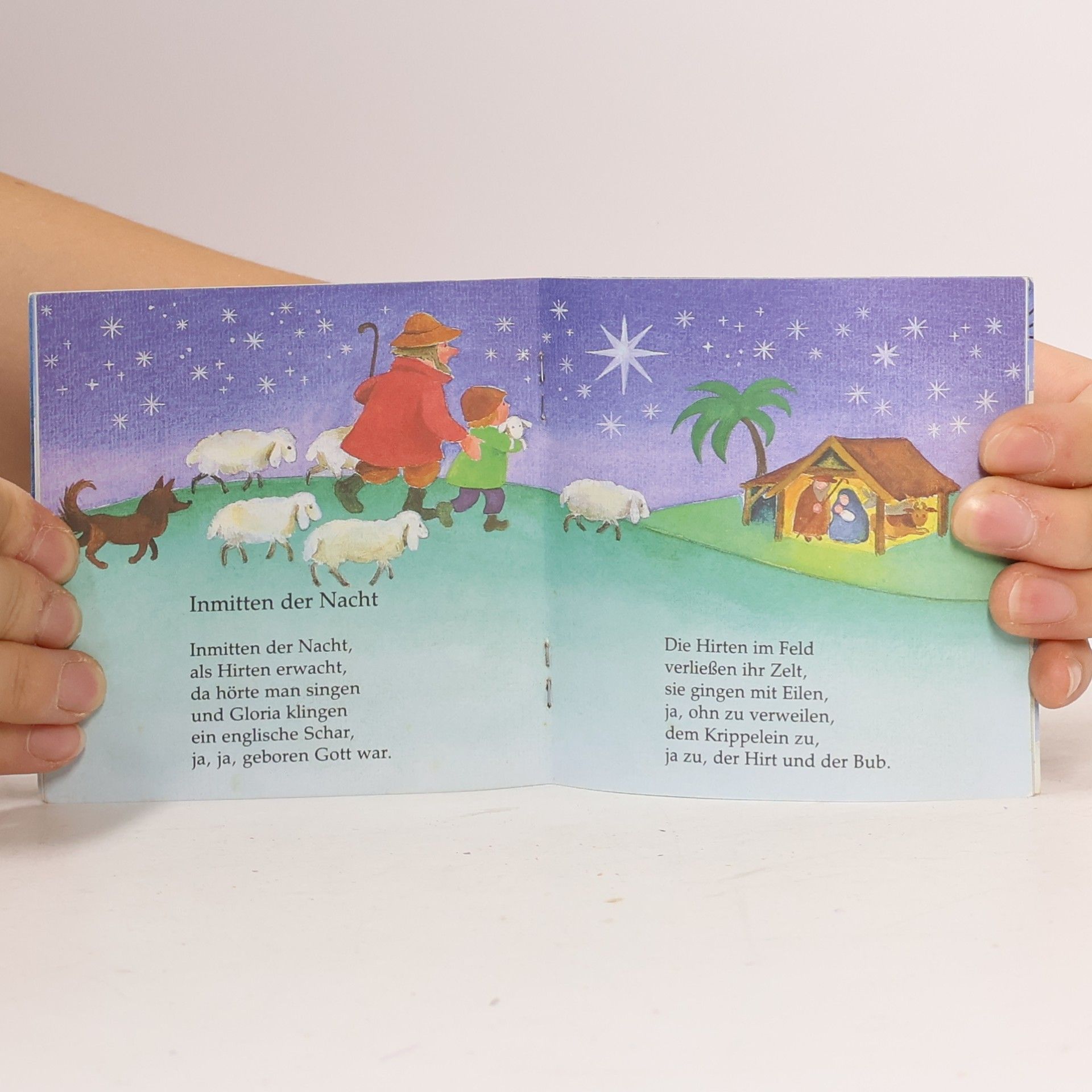 Autorenkollektiv Fröhliche Weihnacht überall