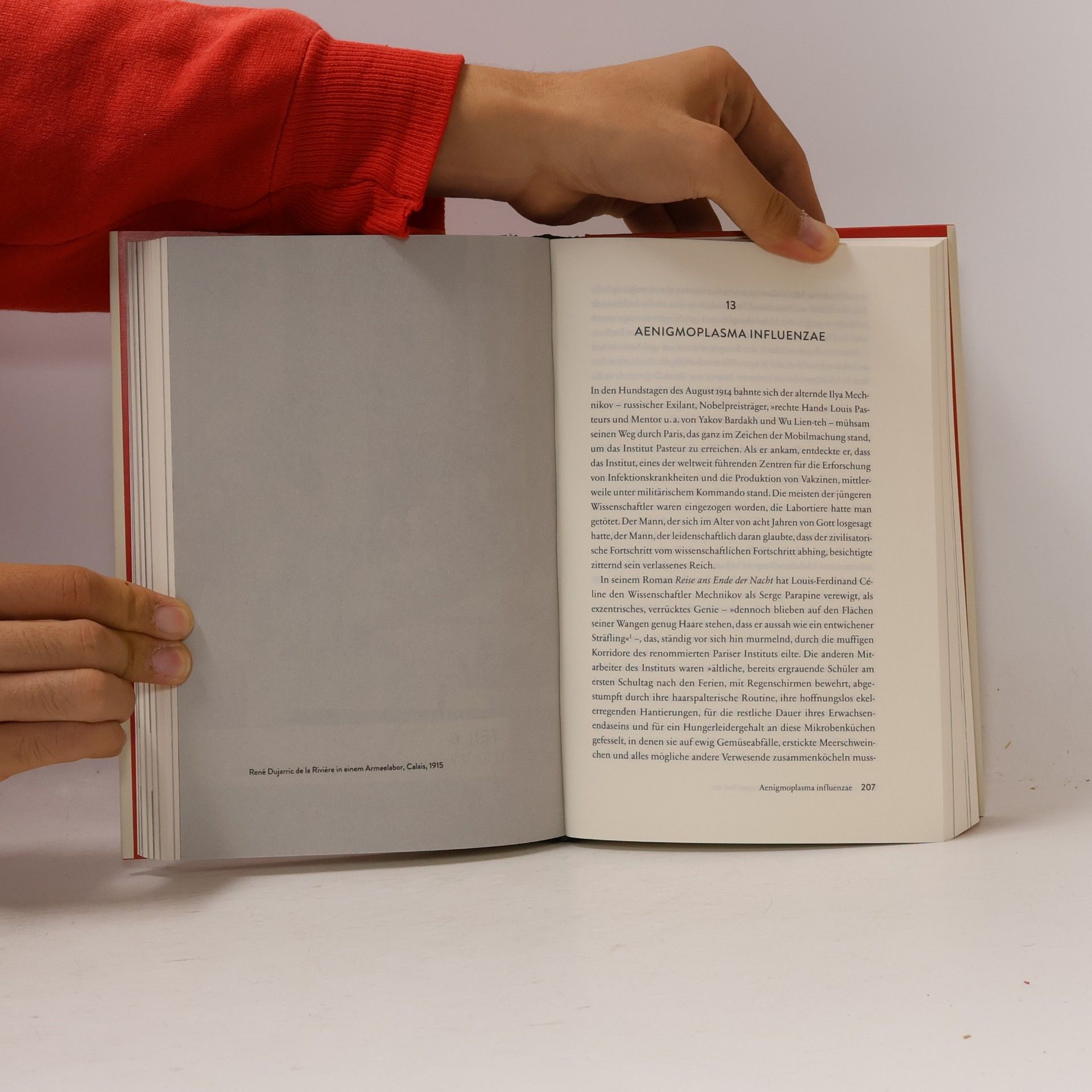 Laura Spinney 1918, die Welt im Fieber