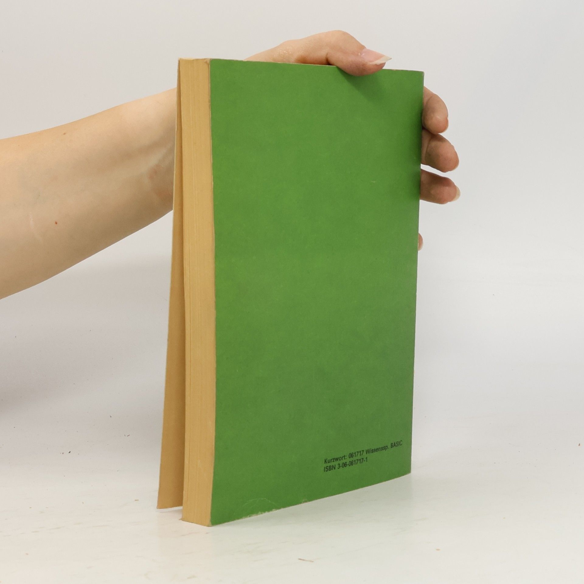 Peter Heblik Wissensspeicher BASIC