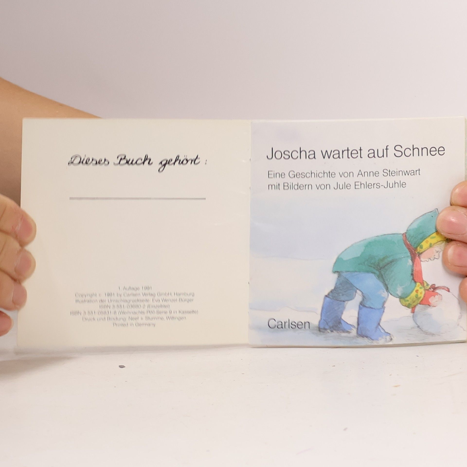 Autorenkollektiv Joscha wartet auf Schnee