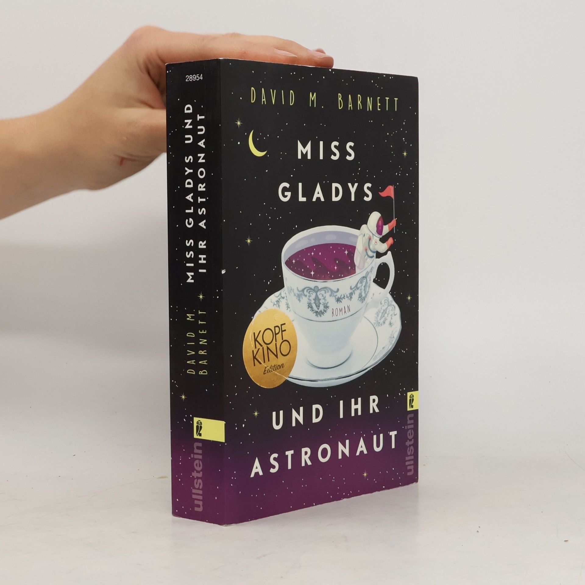 David Barnett Miss Gladys und ihr Astronaut