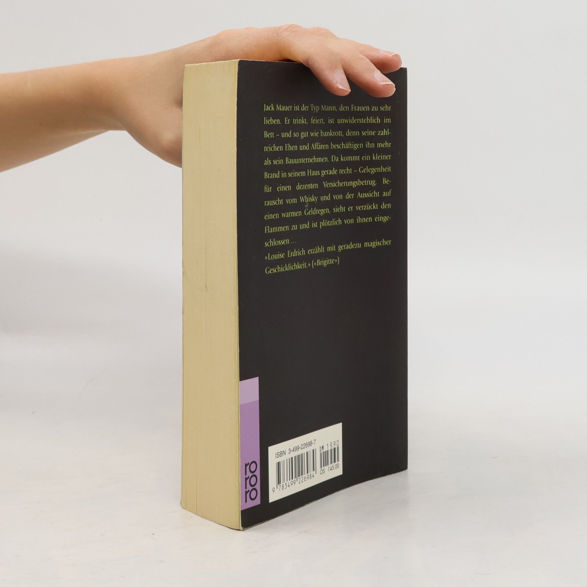 Louise Erdrich Geschichten von brennender Liebe