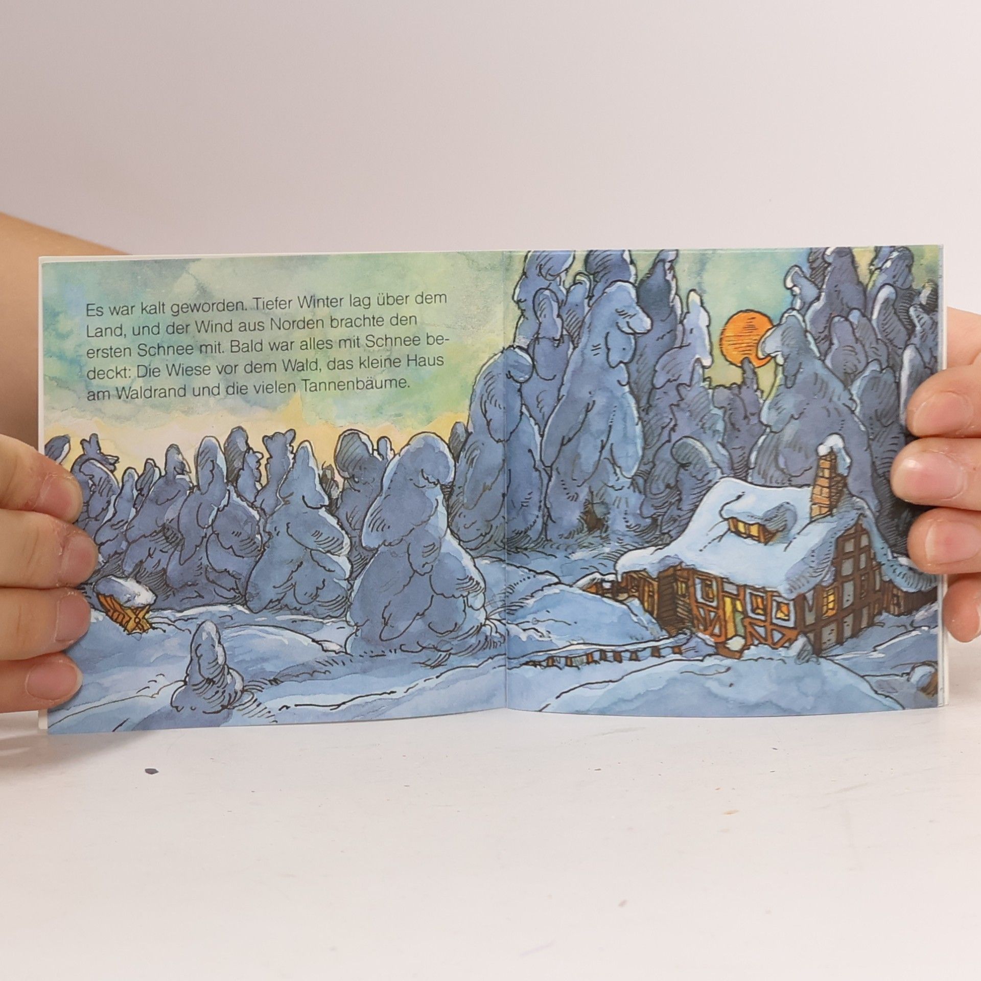 Autorenkollektiv Der Schneemann