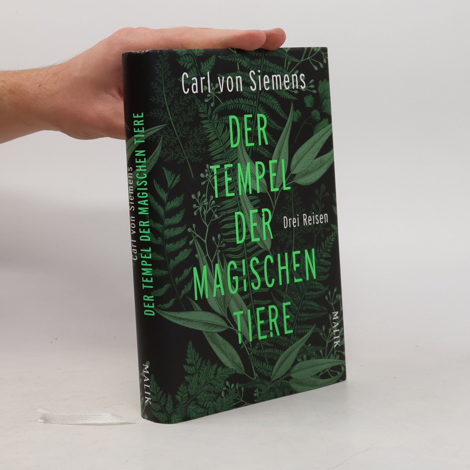 Carl von Siemens Der Tempel der magischen Tiere