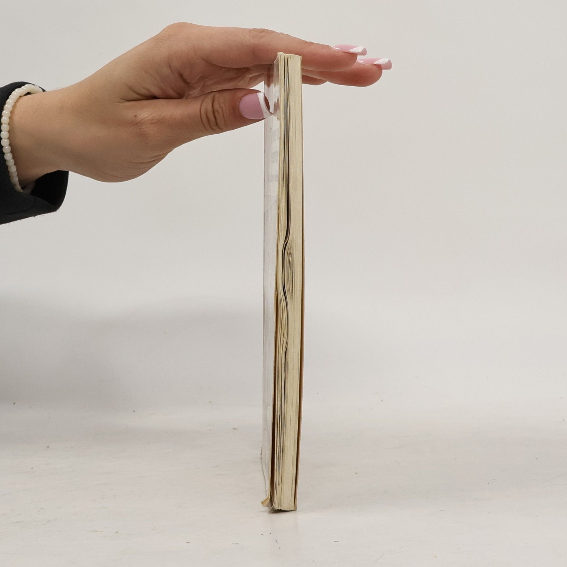 Annelies Schwarz Wir werden uns wiederfinden