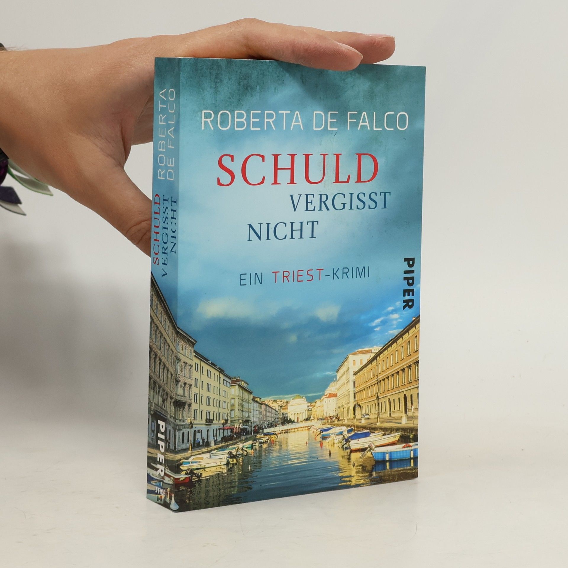 Roberta de Falco Schuld vergisst nicht