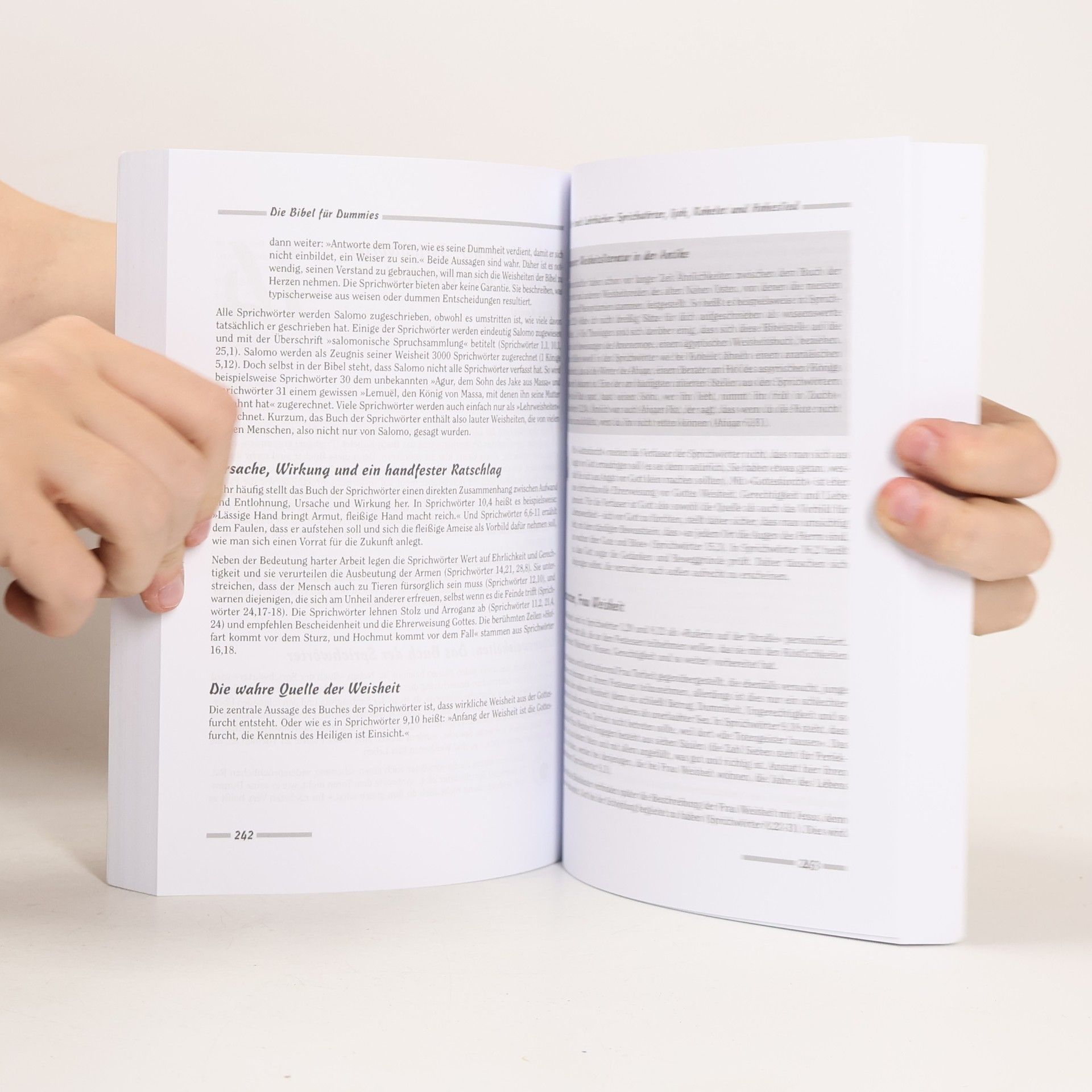 Jeffrey Geoghegan Die Bibel für Dummies