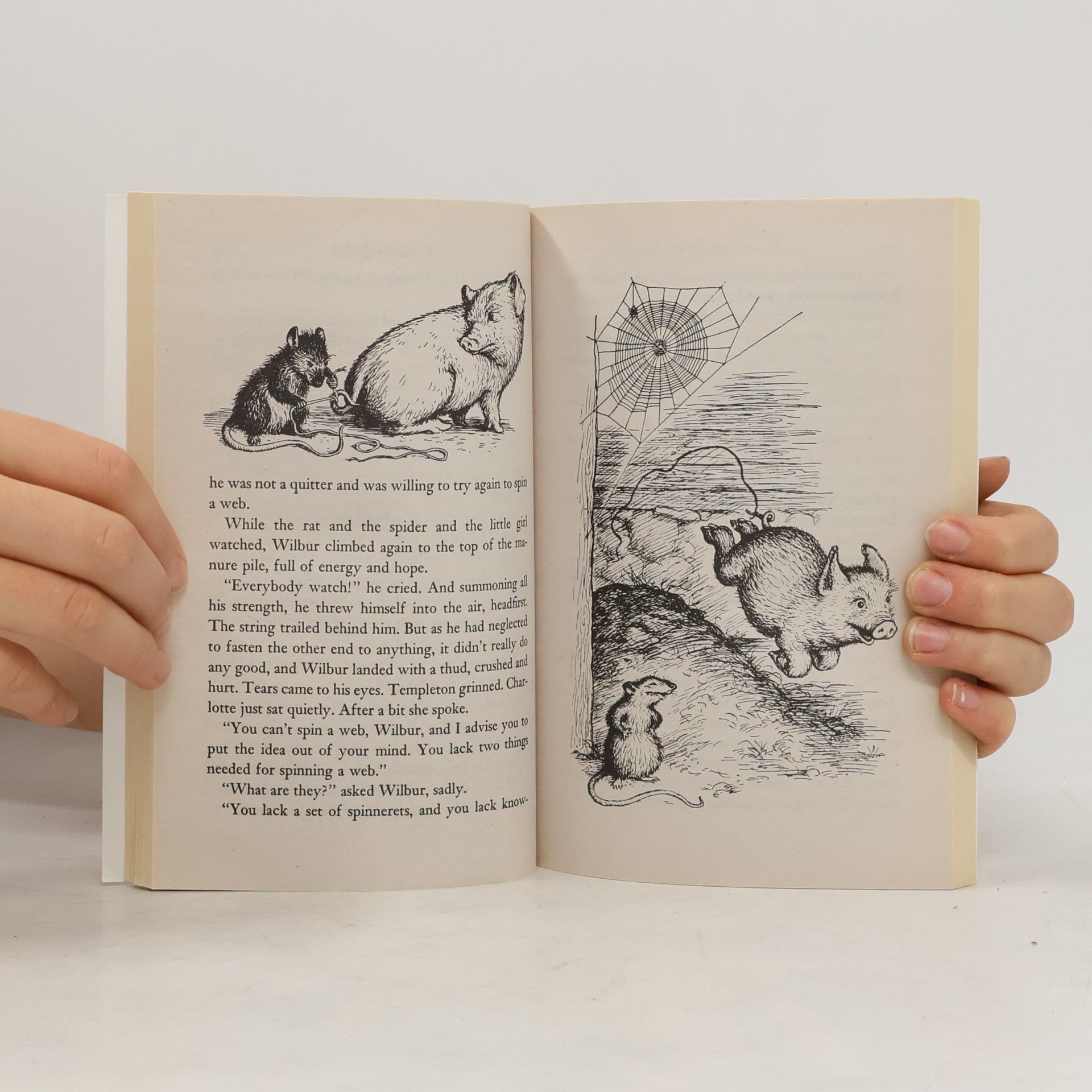 E. B. Elwyn Brooks White Charlotte's web