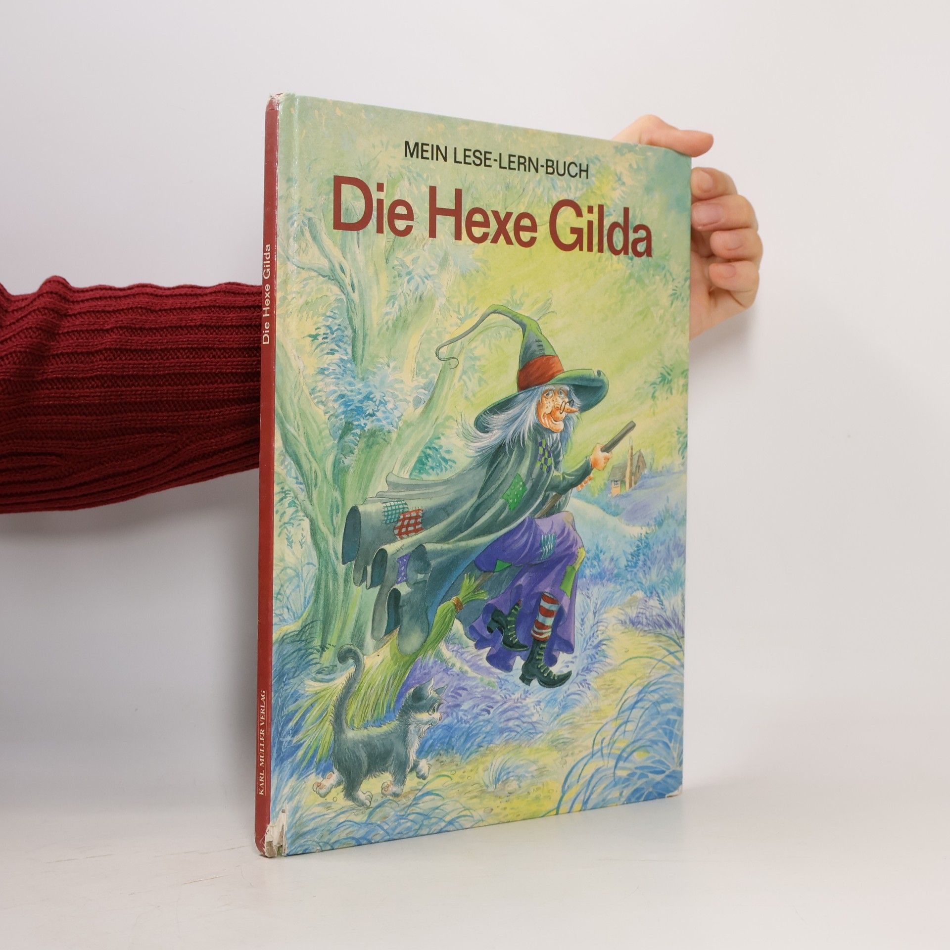 Kolektiv autorů Die Hexe Gilda