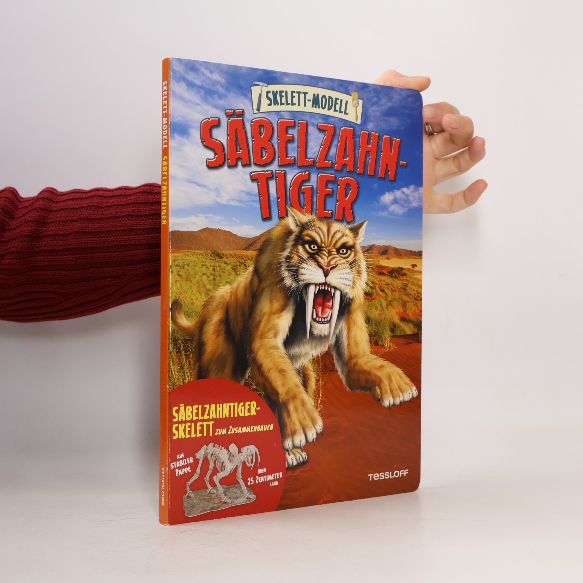 Autorenkollektiv Skelett-Modell Säbelzahntiger
