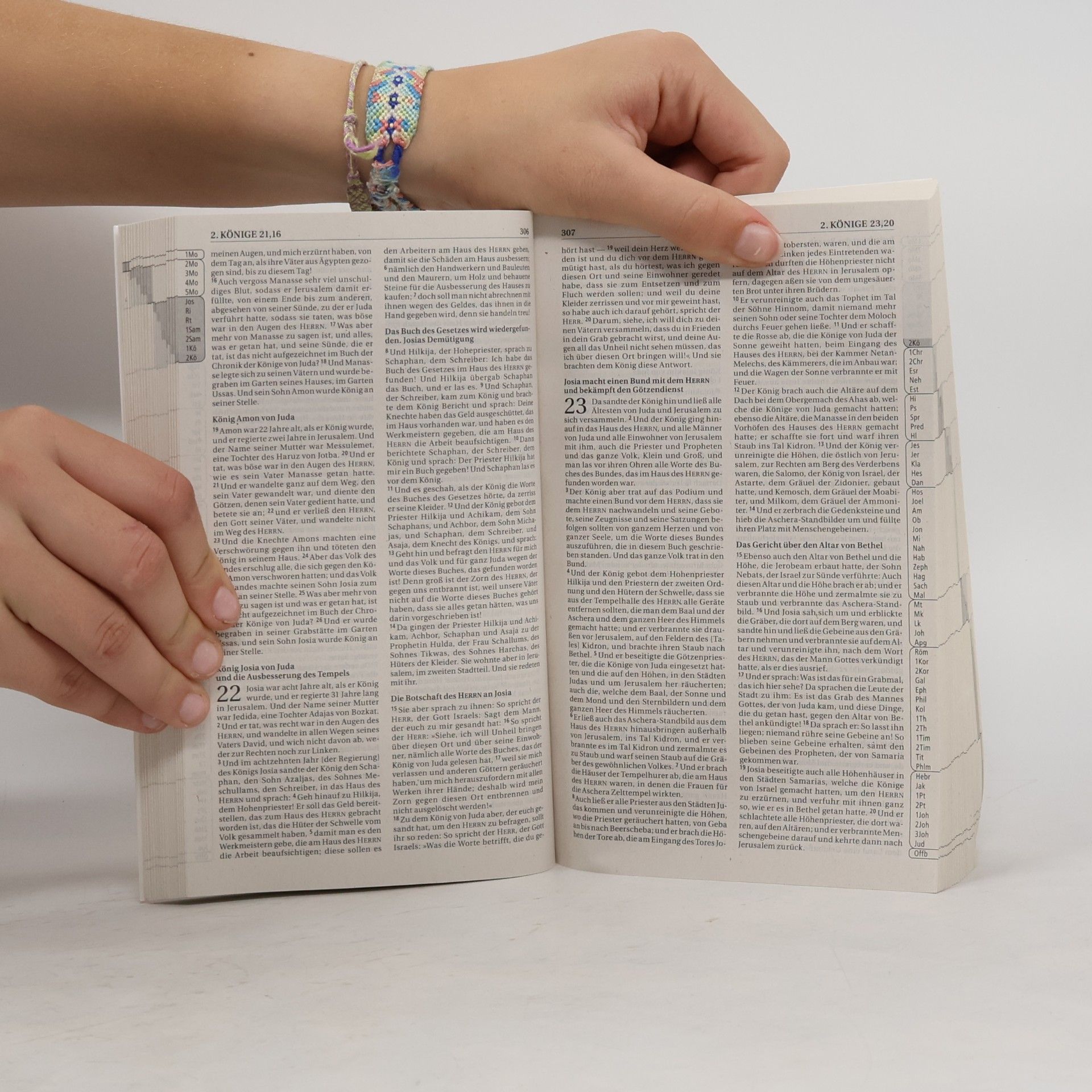 Franz Eugen Schlachter Die Bibel