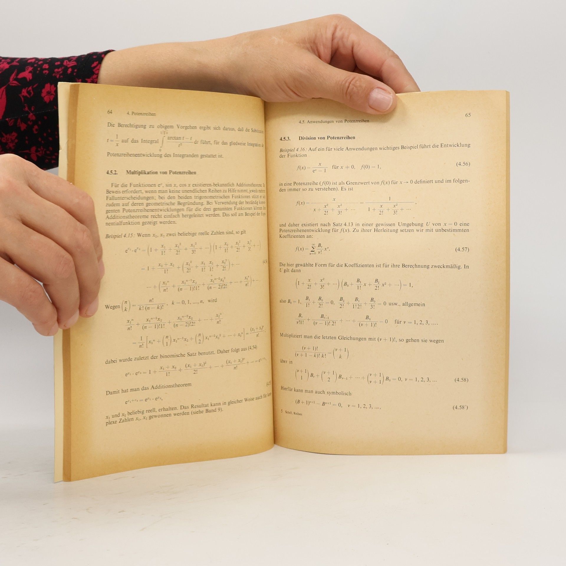 Schell Mathematik. Unendliche Reihen
