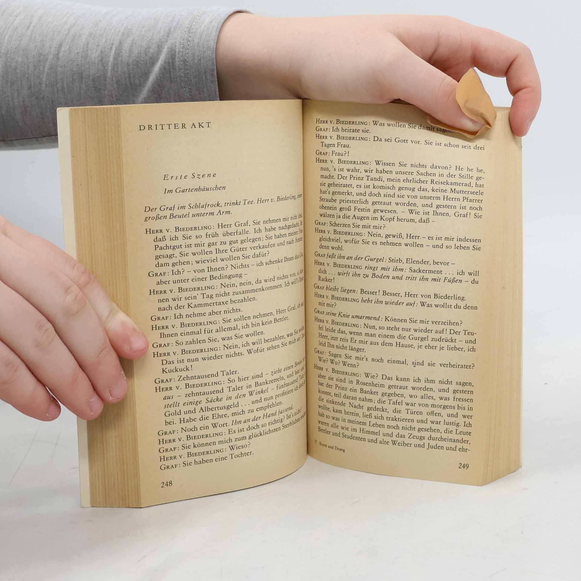 Autorenkollektiv Komödien und Satiren des Sturm und Drang