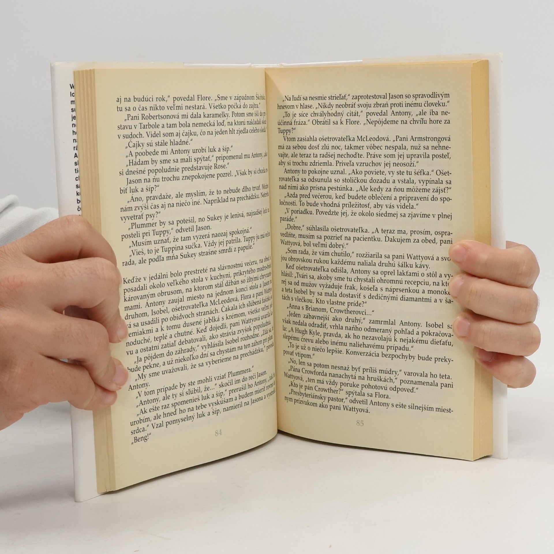 Rosamunde Pilcher Blíženci
