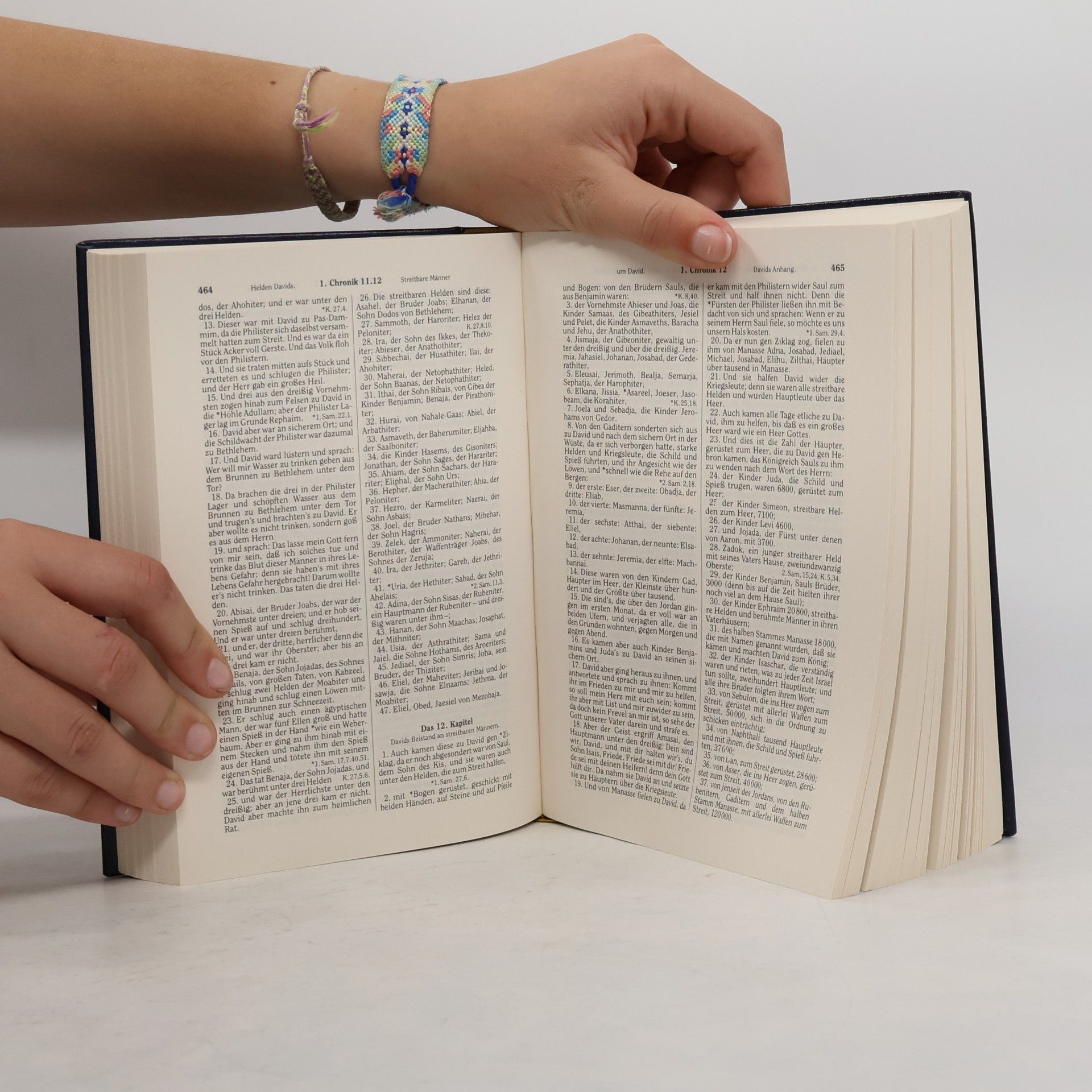 Martin Luther Die Bibel oder die ganze Heilige Schrift des Alten und Neuen Testaments