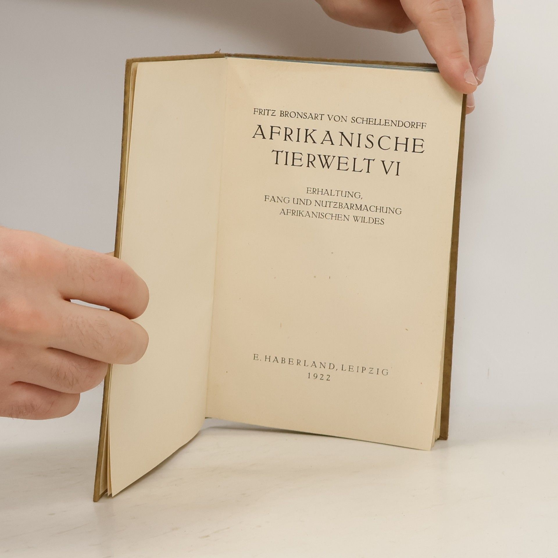 Fritz Bronsart V. Schellendorff Afrikanische Tierwelt VI
