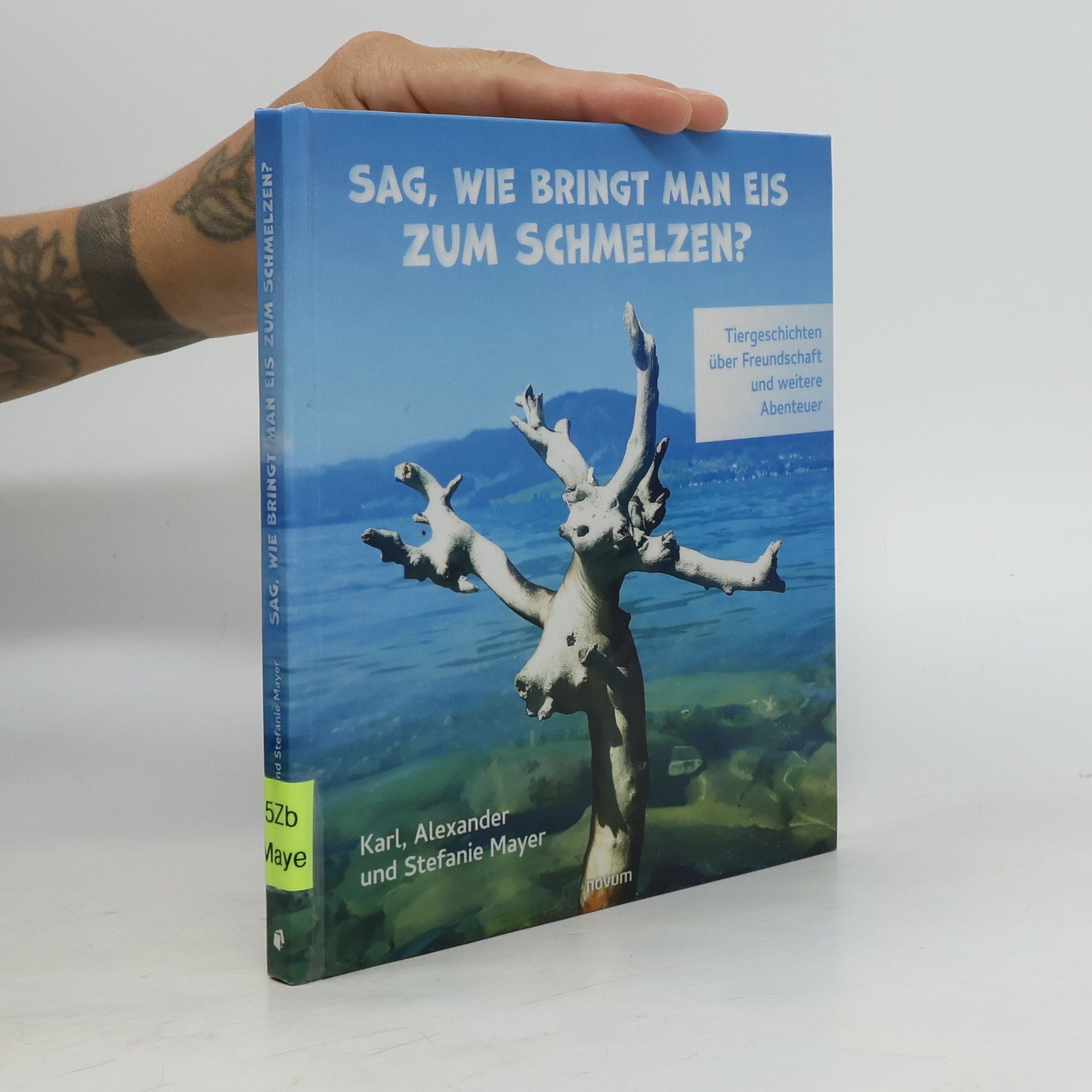 Sag, wie bringt man Eis zum Schmelzen?