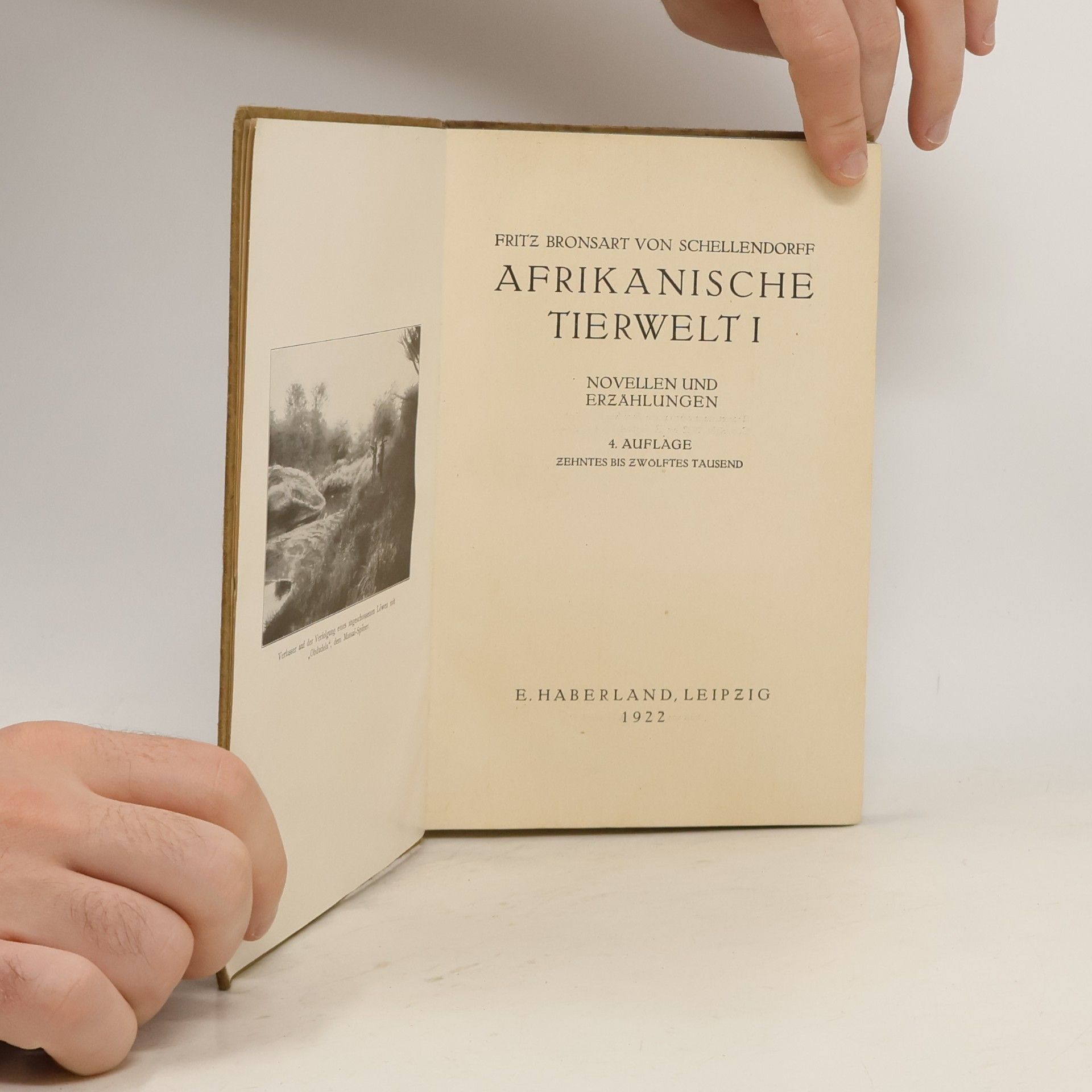 Fritz Bronsart von Schellendorff Afrikanische Tierwelt I