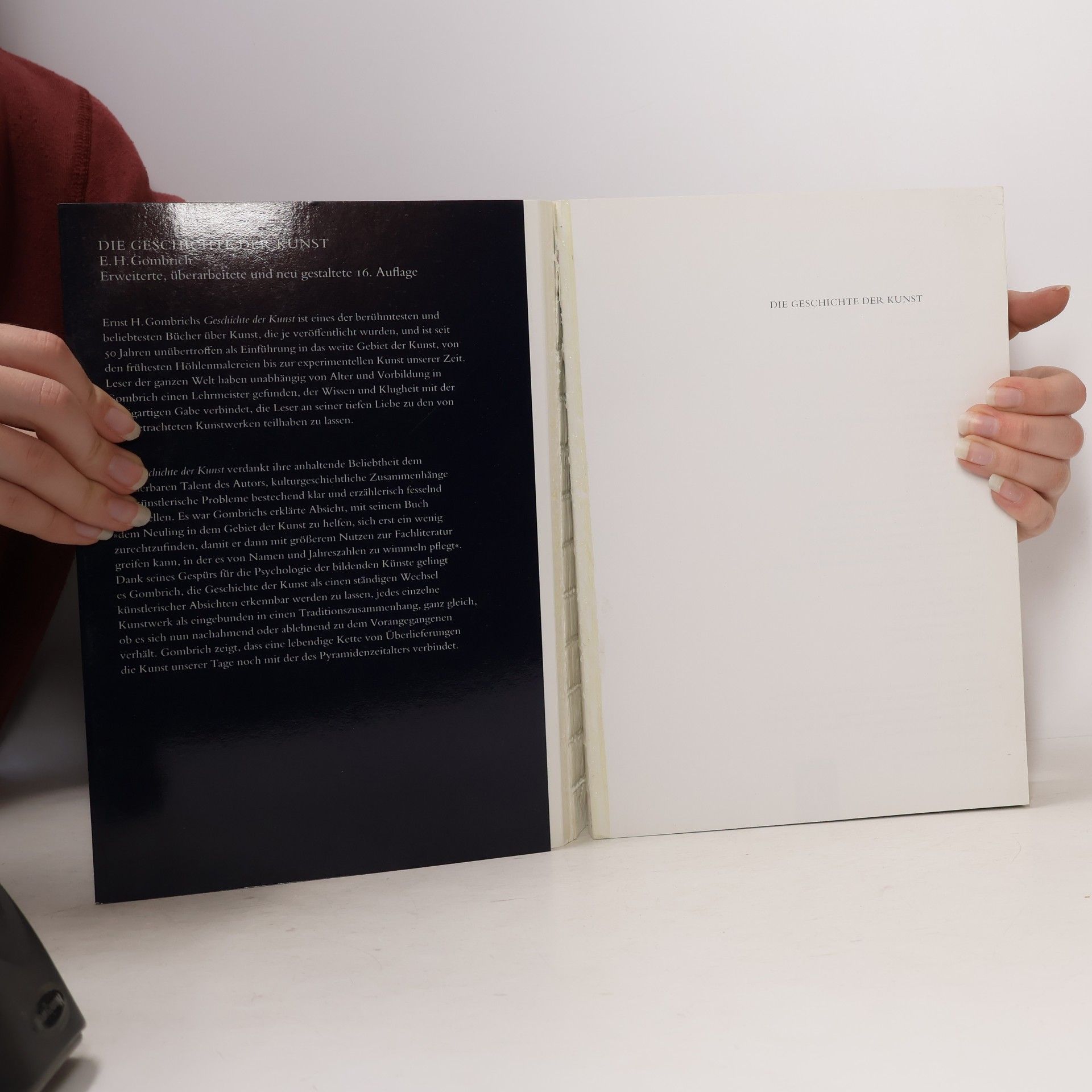 Ernst Hans Gombrich Die Geschichte der Kunst