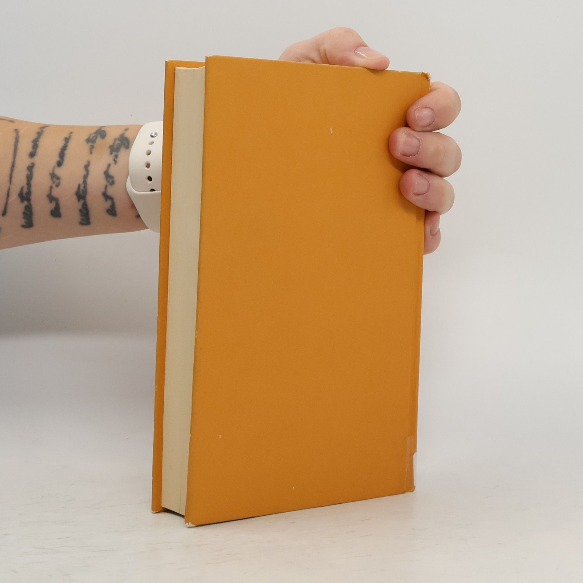 Joanne Harris Krysařovy střevíce