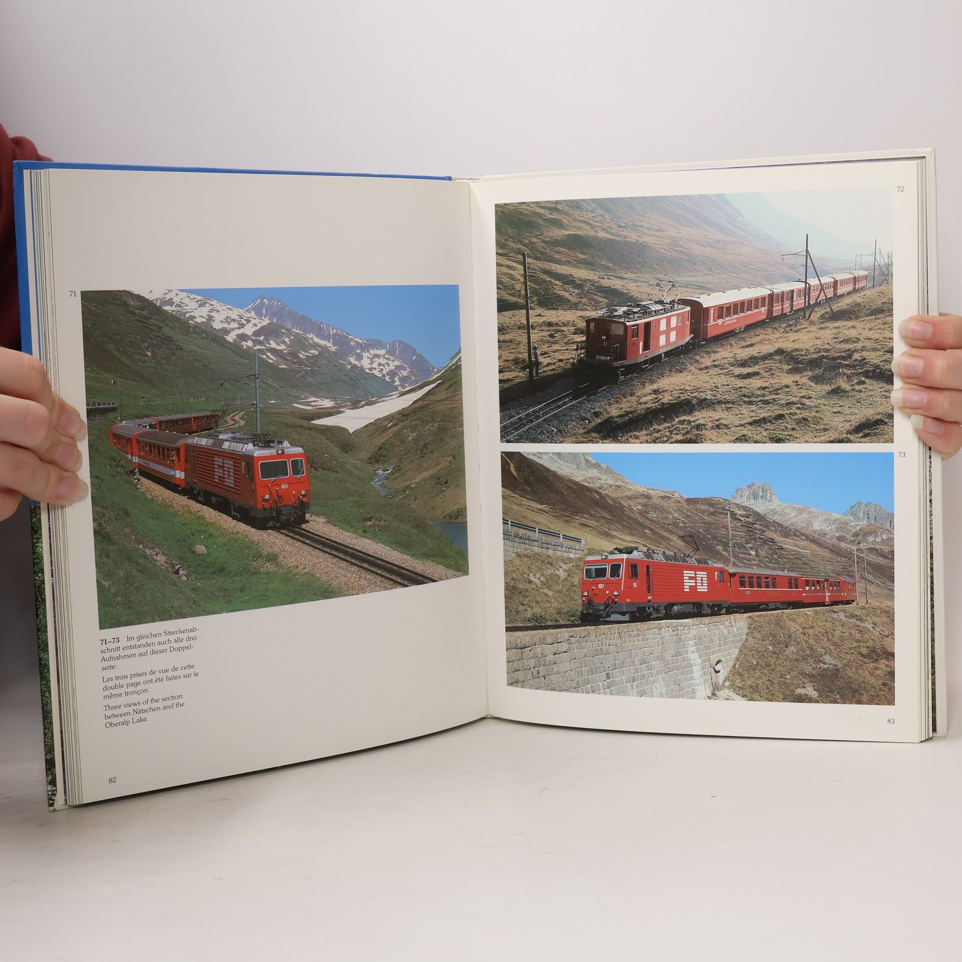 Bruno Hitz Glacier- und Bernina-Express