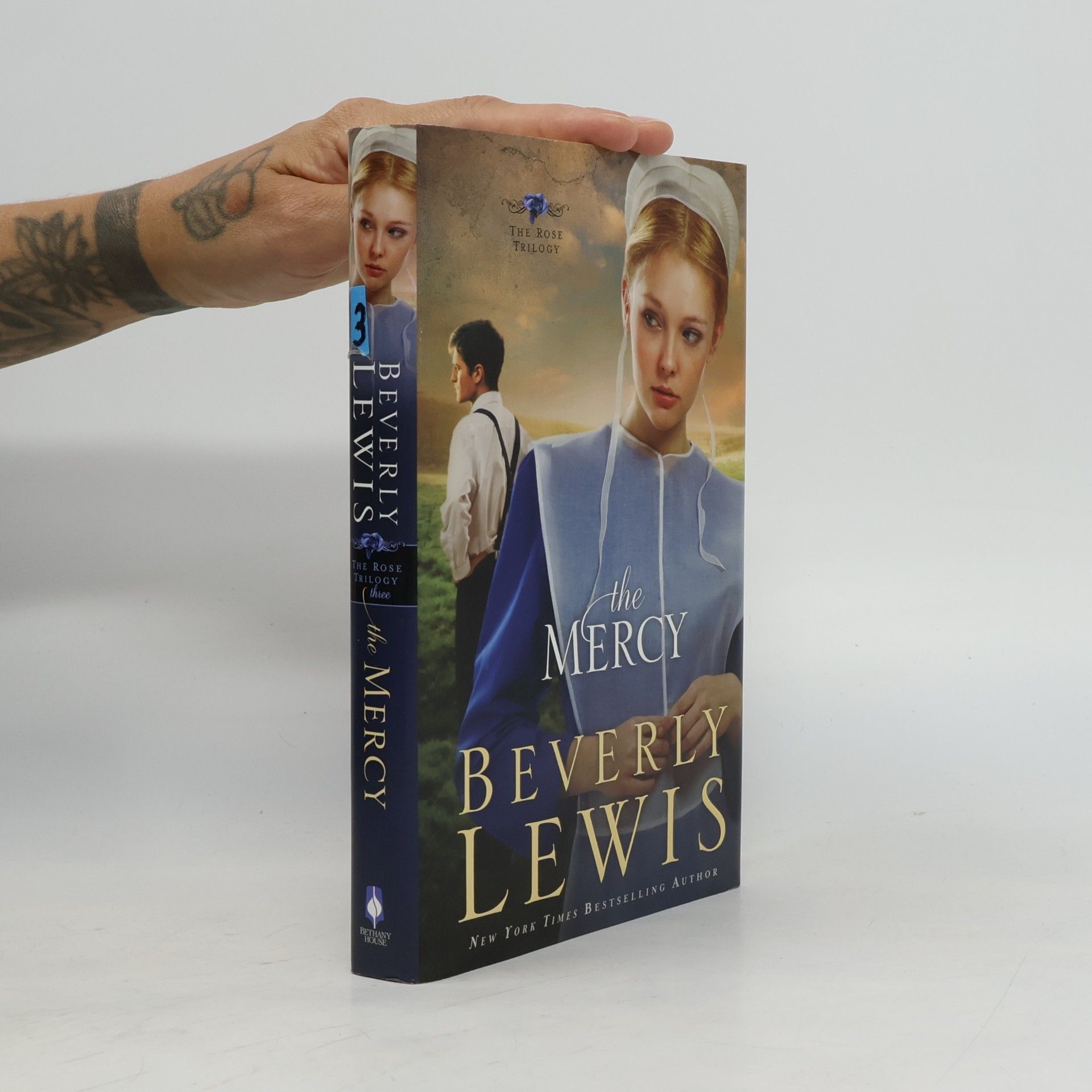 Beverly Lewis The Mercy