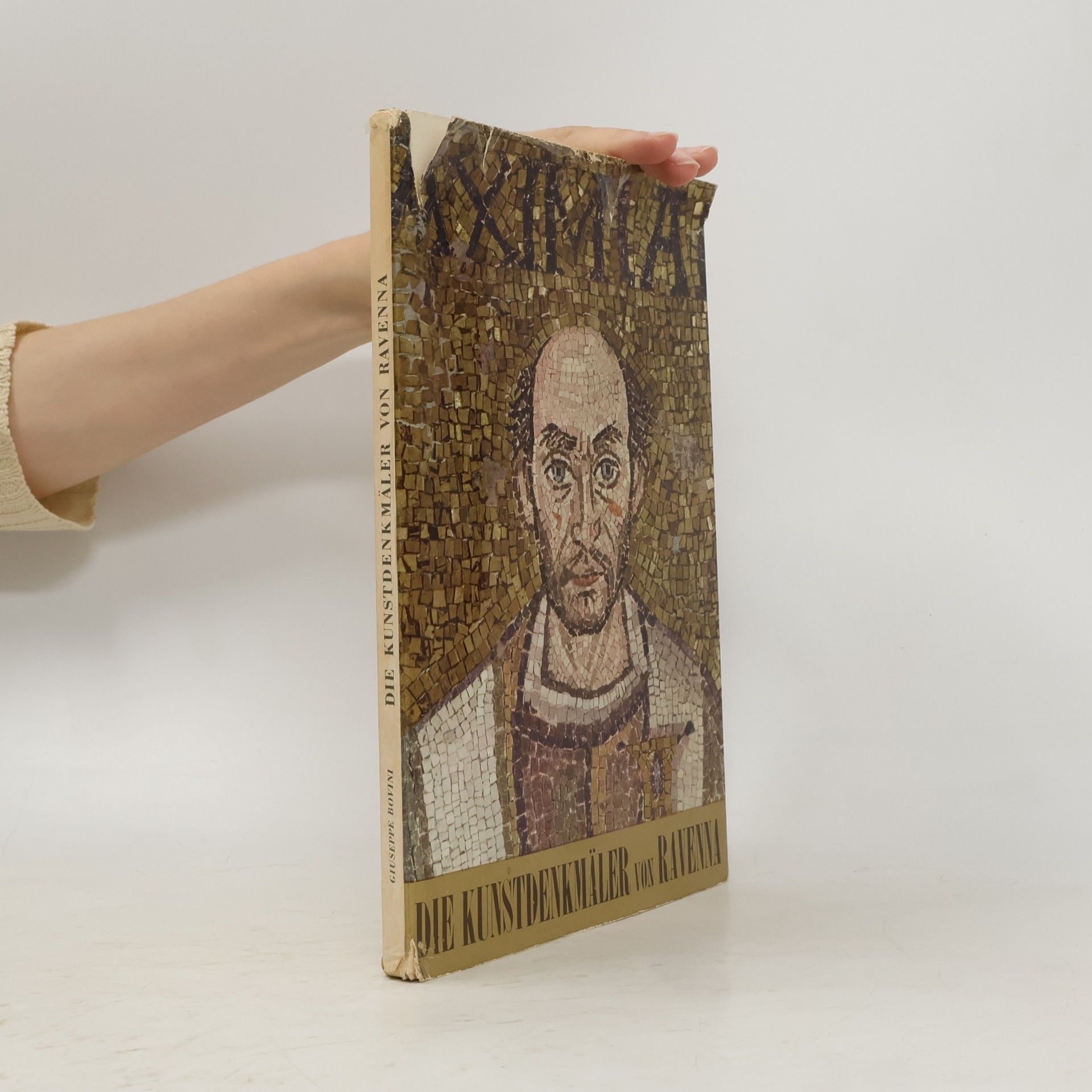 Giuseppe Bovini Die Kunstdenkmäler von Ravenna