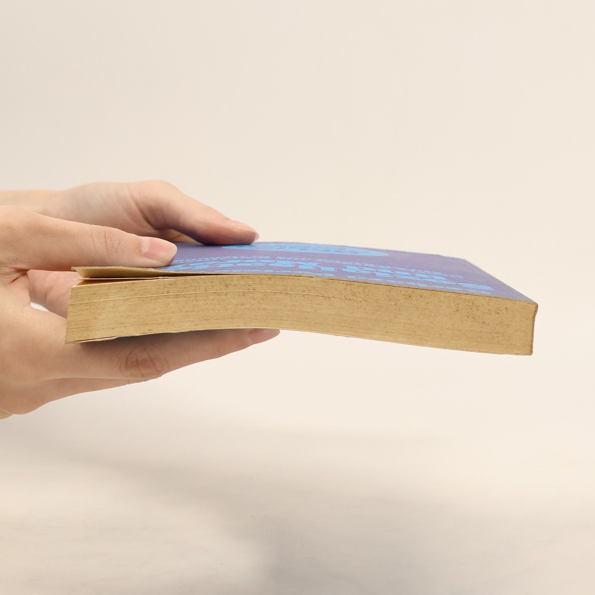 Gerhard Heik Portele Beltz Studienbuch: Sozialisation und Moral