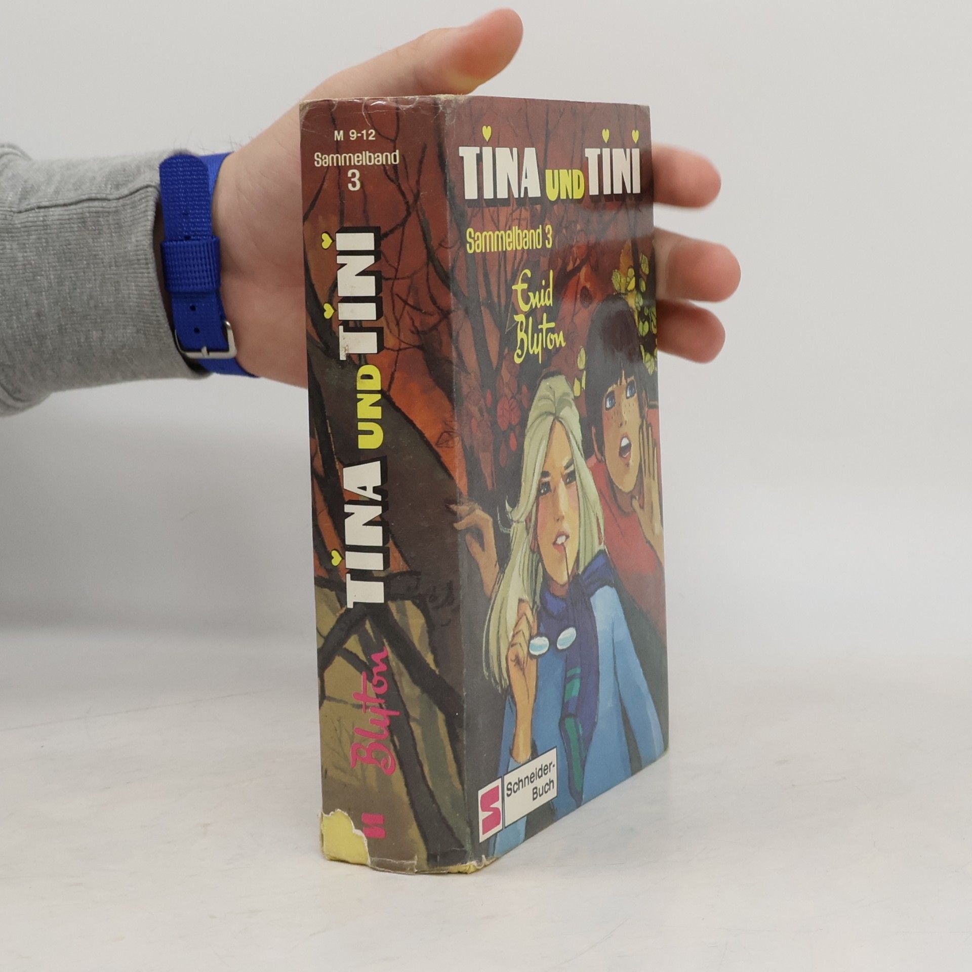 Enid Blyton Tina und Tini. Sammelband 3