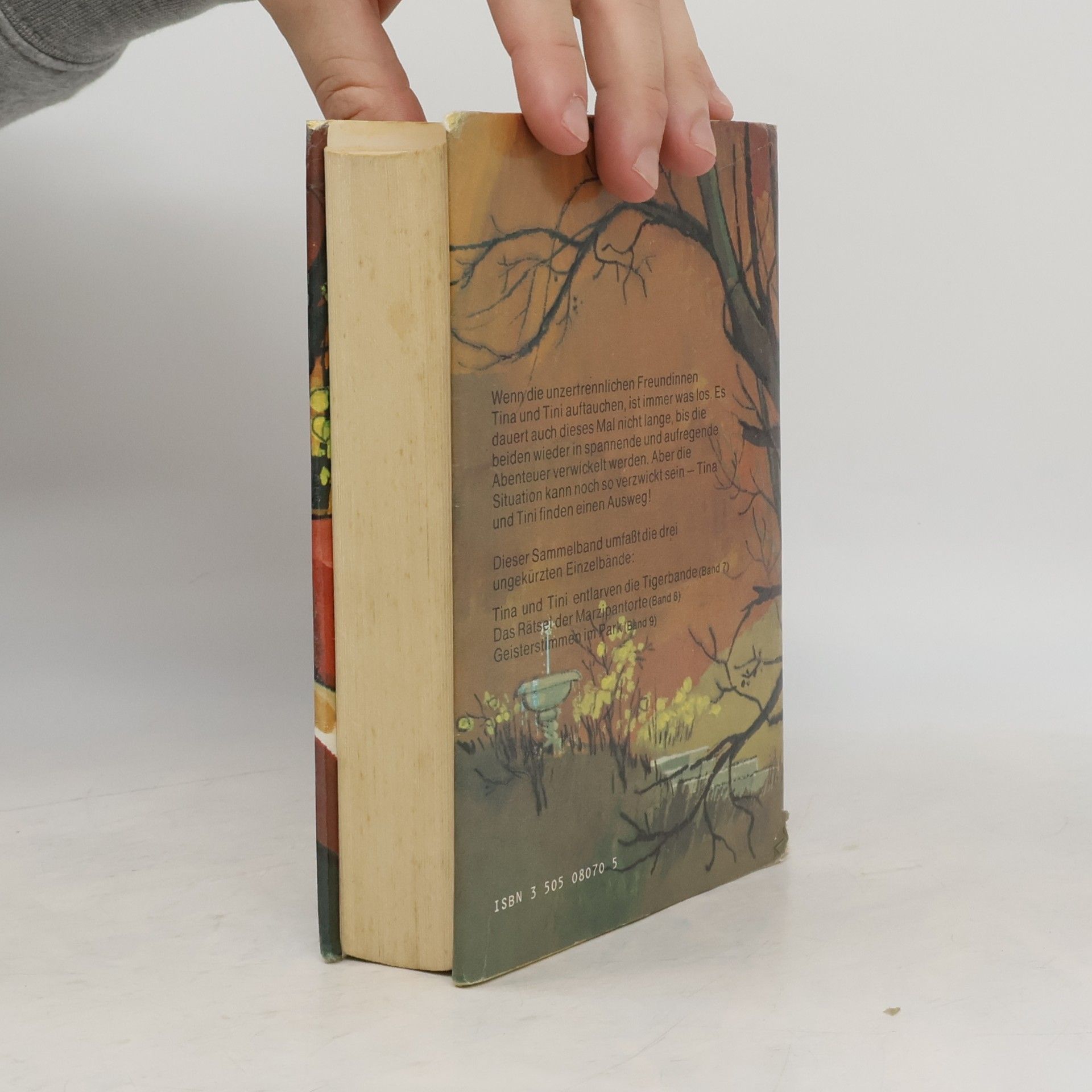Enid Blyton Tina und Tini. Sammelband 3