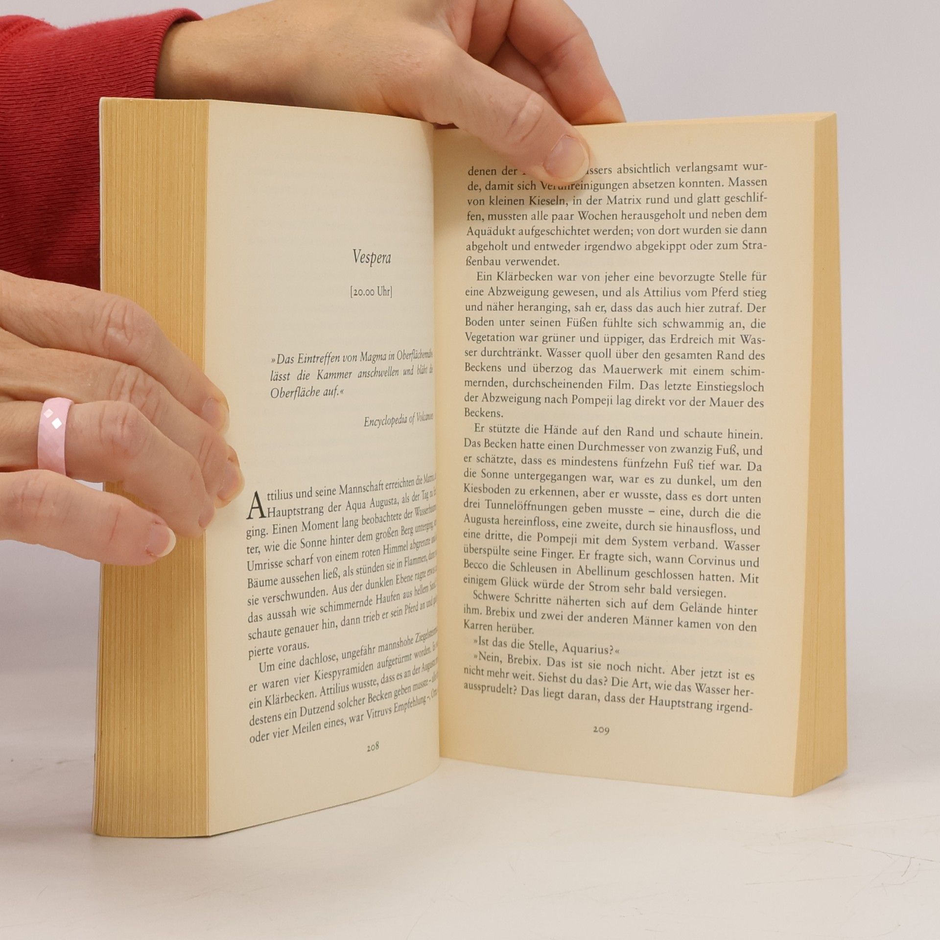 Robert Harris Pompeji