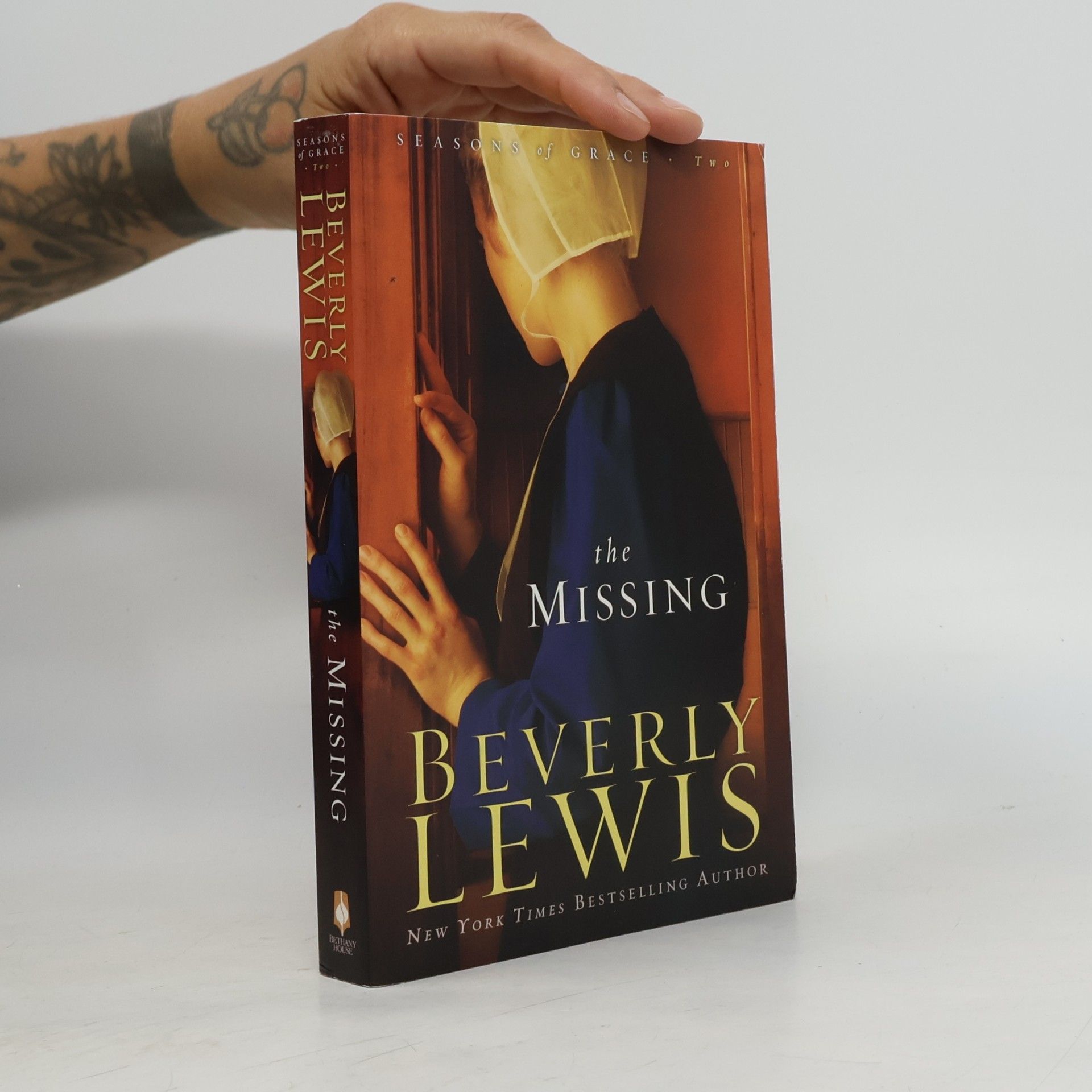 Beverly Lewis The Missing