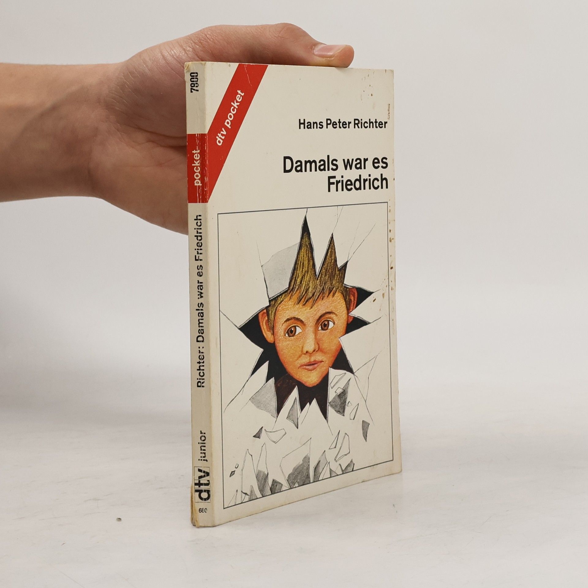 Hans Peter Richter Damals war es Friedrich