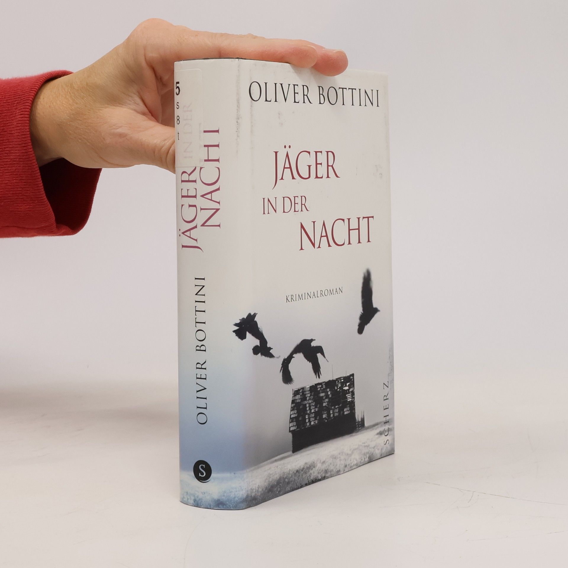 Oliver Bottini Jäger in der Nacht