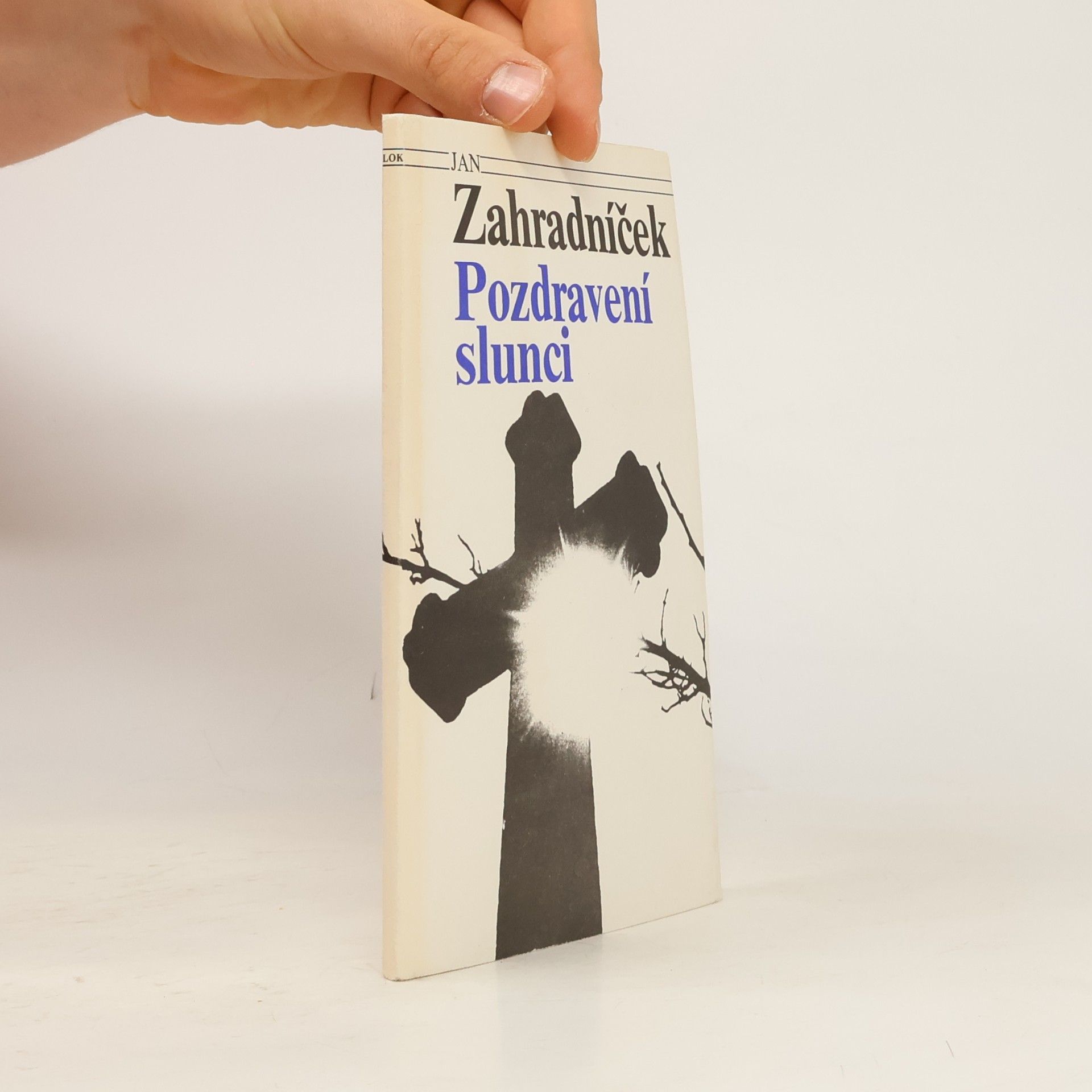 Pozdravení slunci