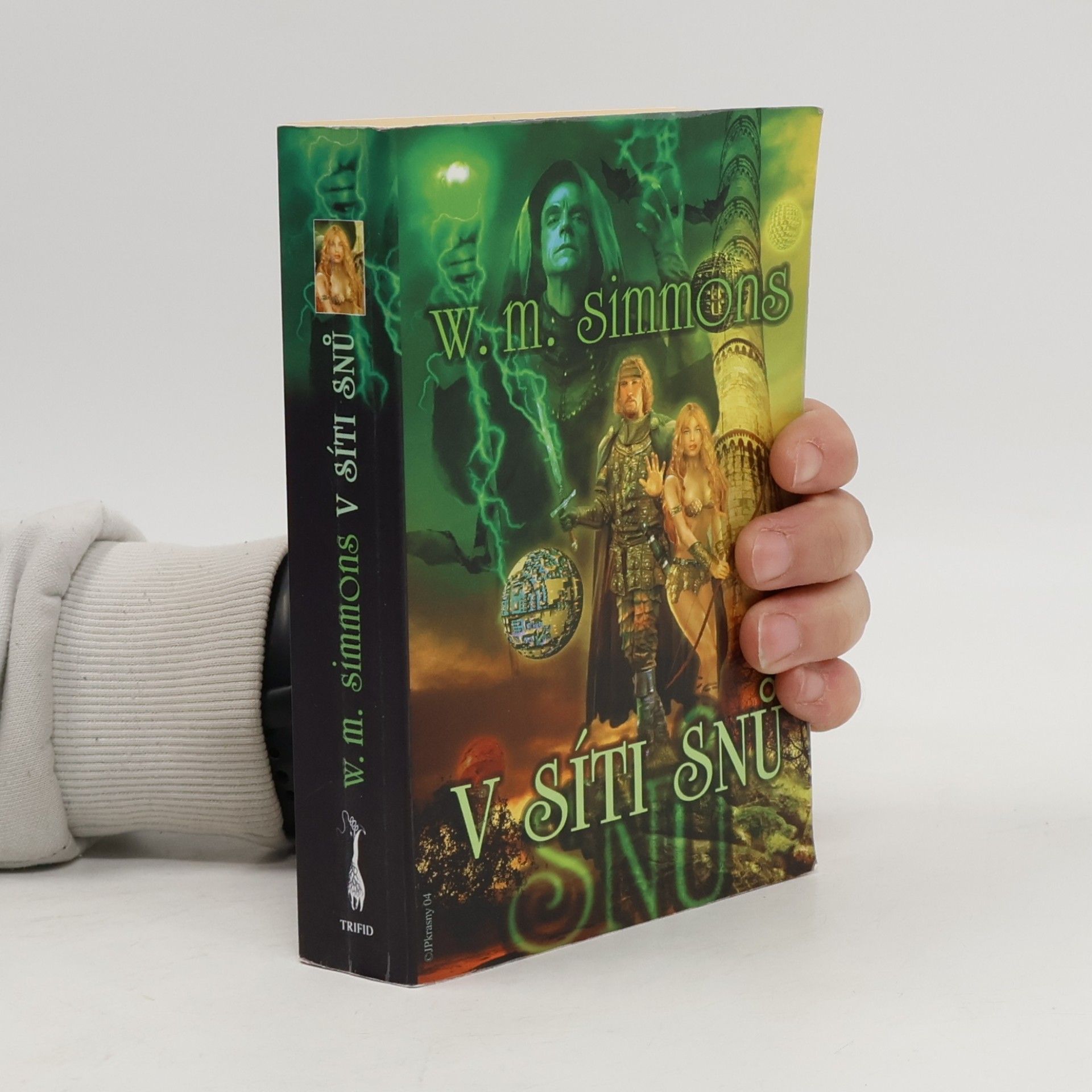 William Mark Simmons V síti snů. Kroniky Dreamlandu 1
