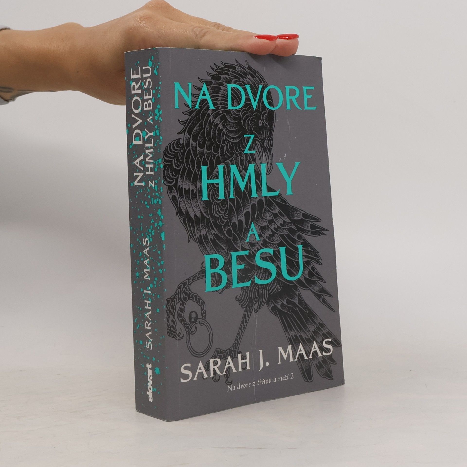 Sarah J. Maas Na dvore z hmly a besu