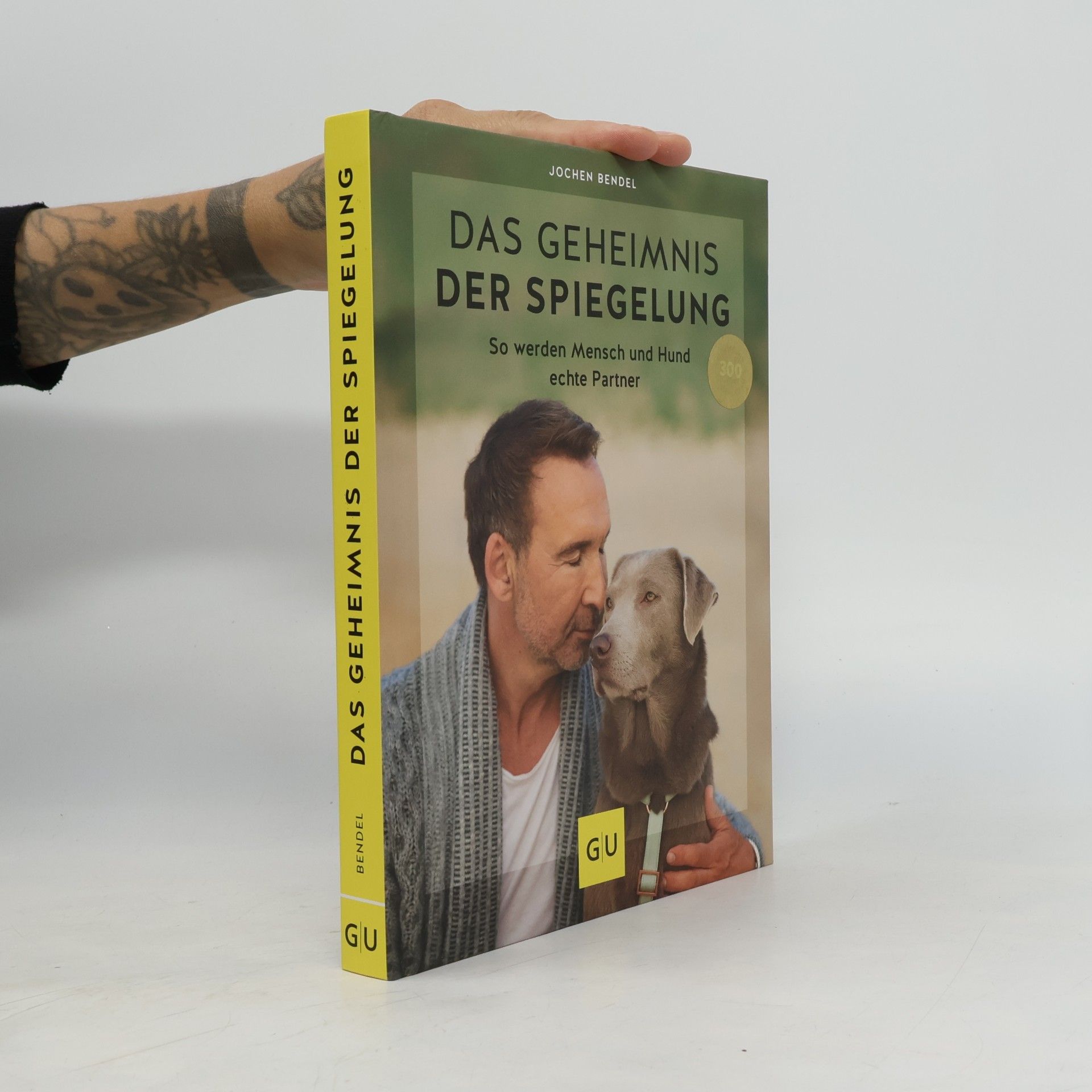 Jochen Bendel Das Geheimnis der Spiegelung