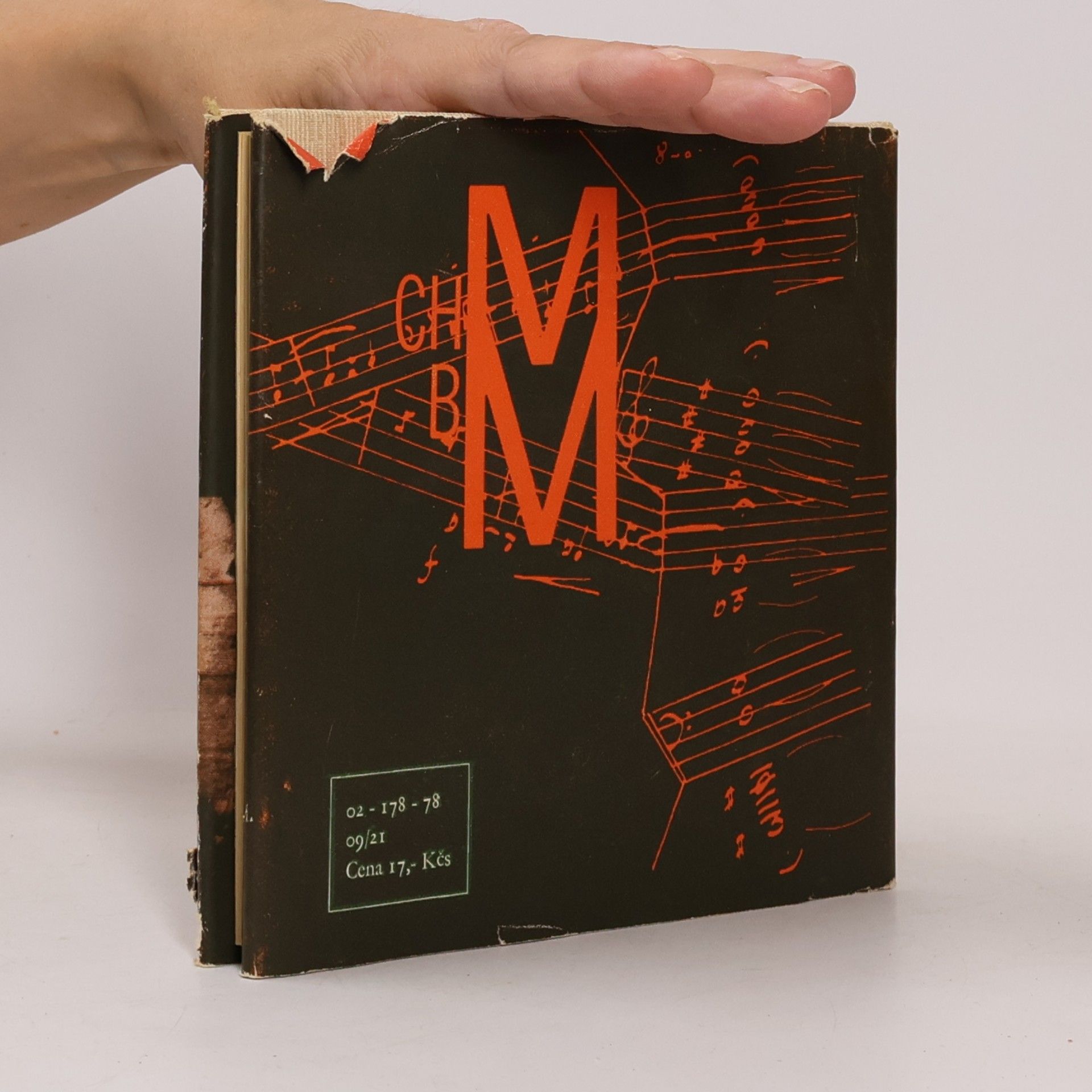 Charlotte Martinů Můj život s Bohuslavem Martinů
