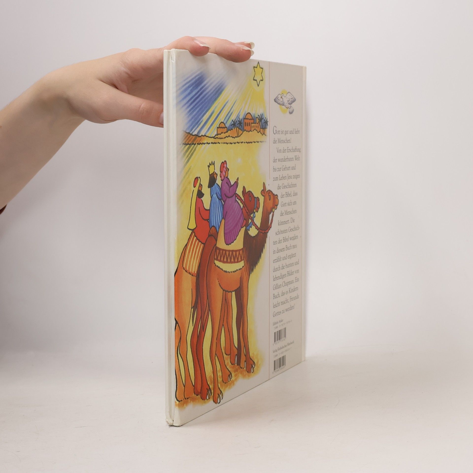 Leena Lane Mein Bibel-Bilderbuch