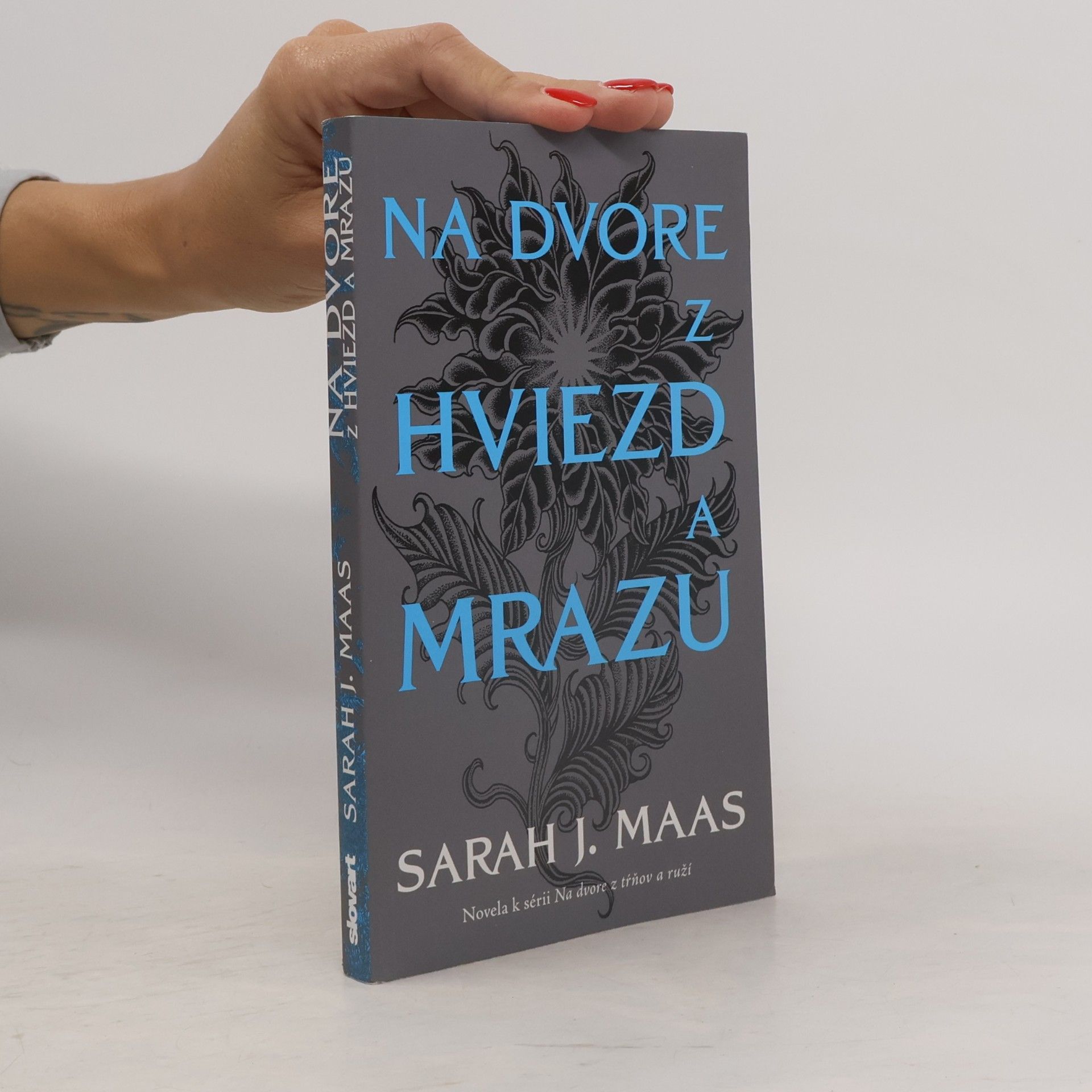 Sarah J. Maas Na dvore z hviezd a mrazu
