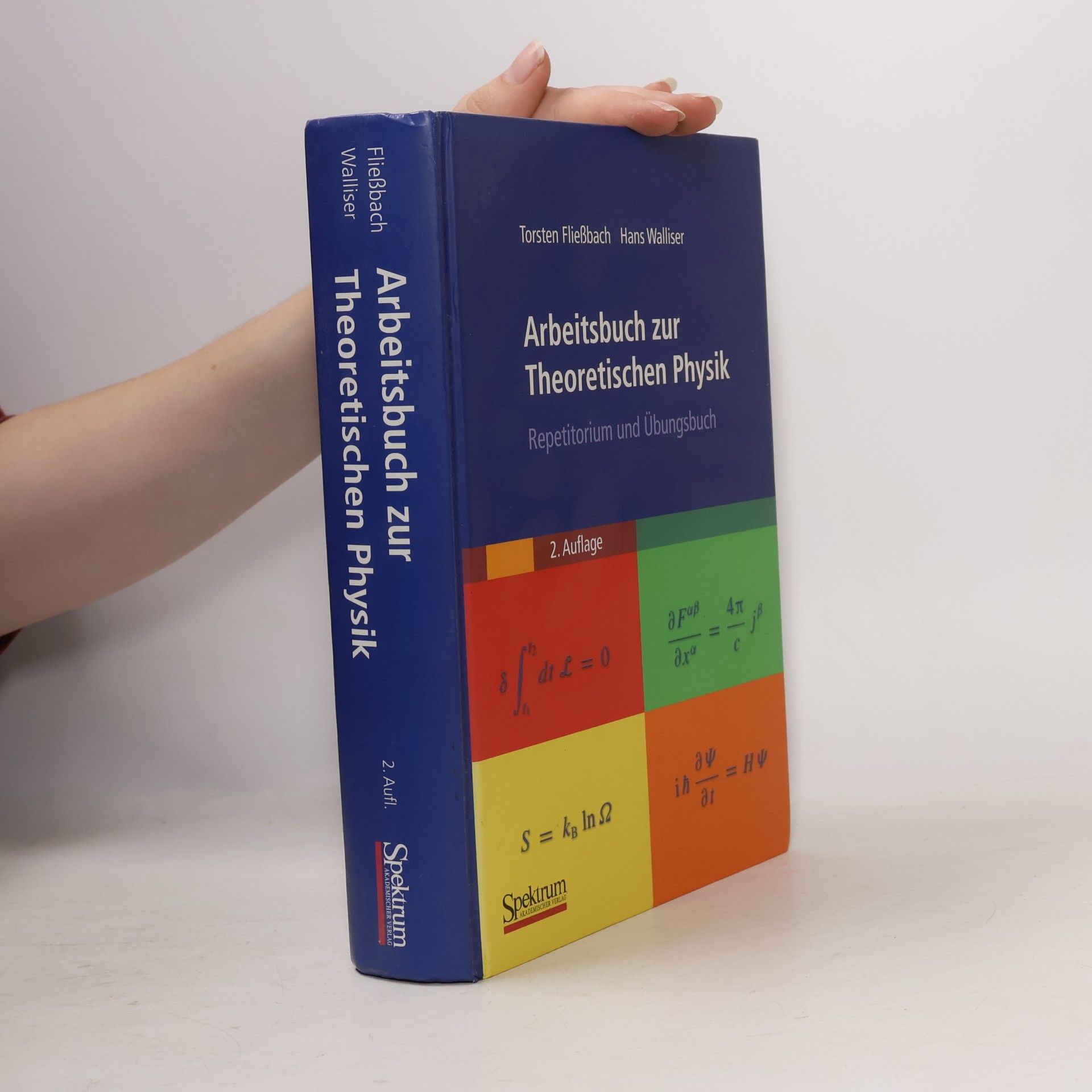 Hans Walliser Arbeitsbuch zur Theoretischen Physik
