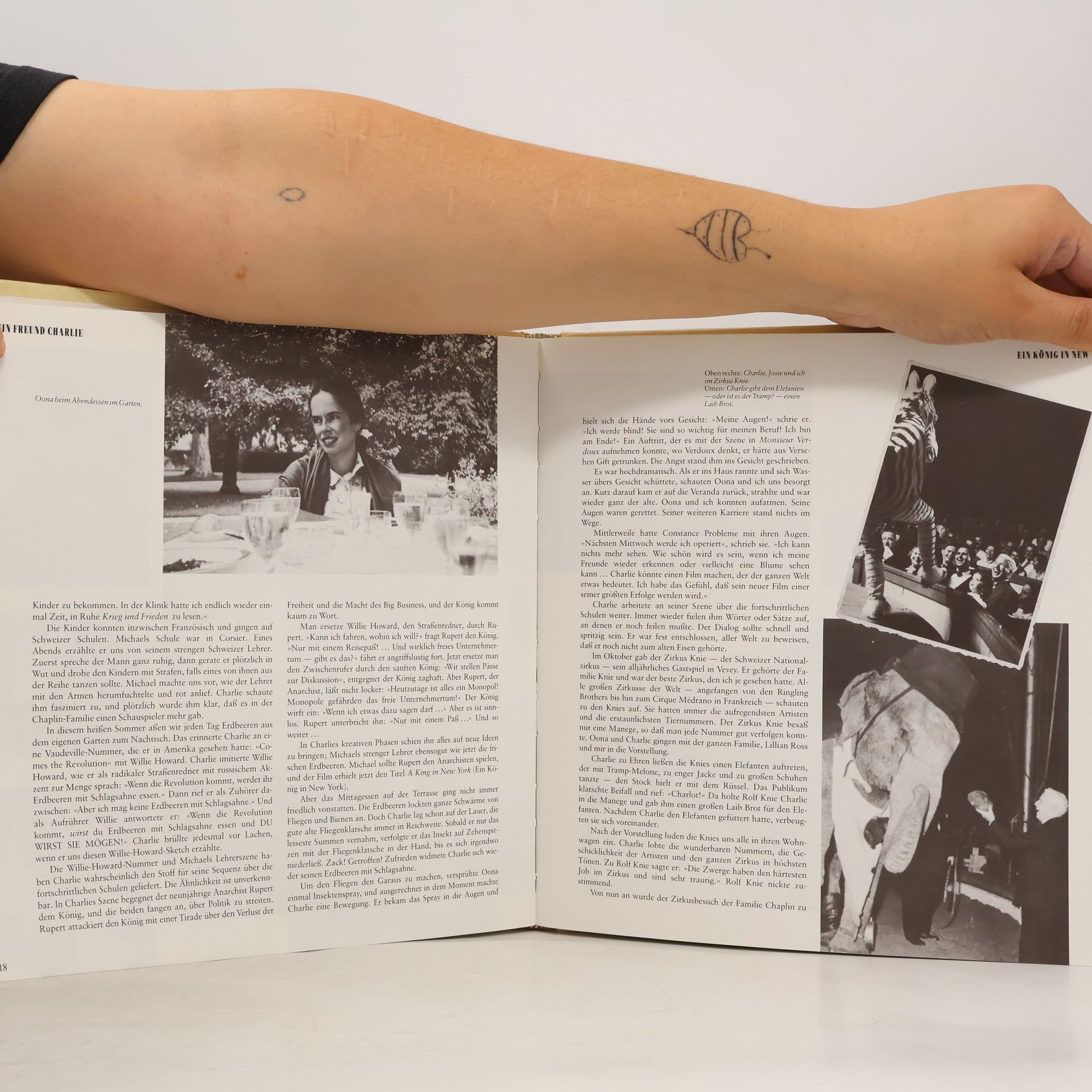 Jerry Epstein Mein Freund Charlie: Erinnerungen an Charlie Chaplin