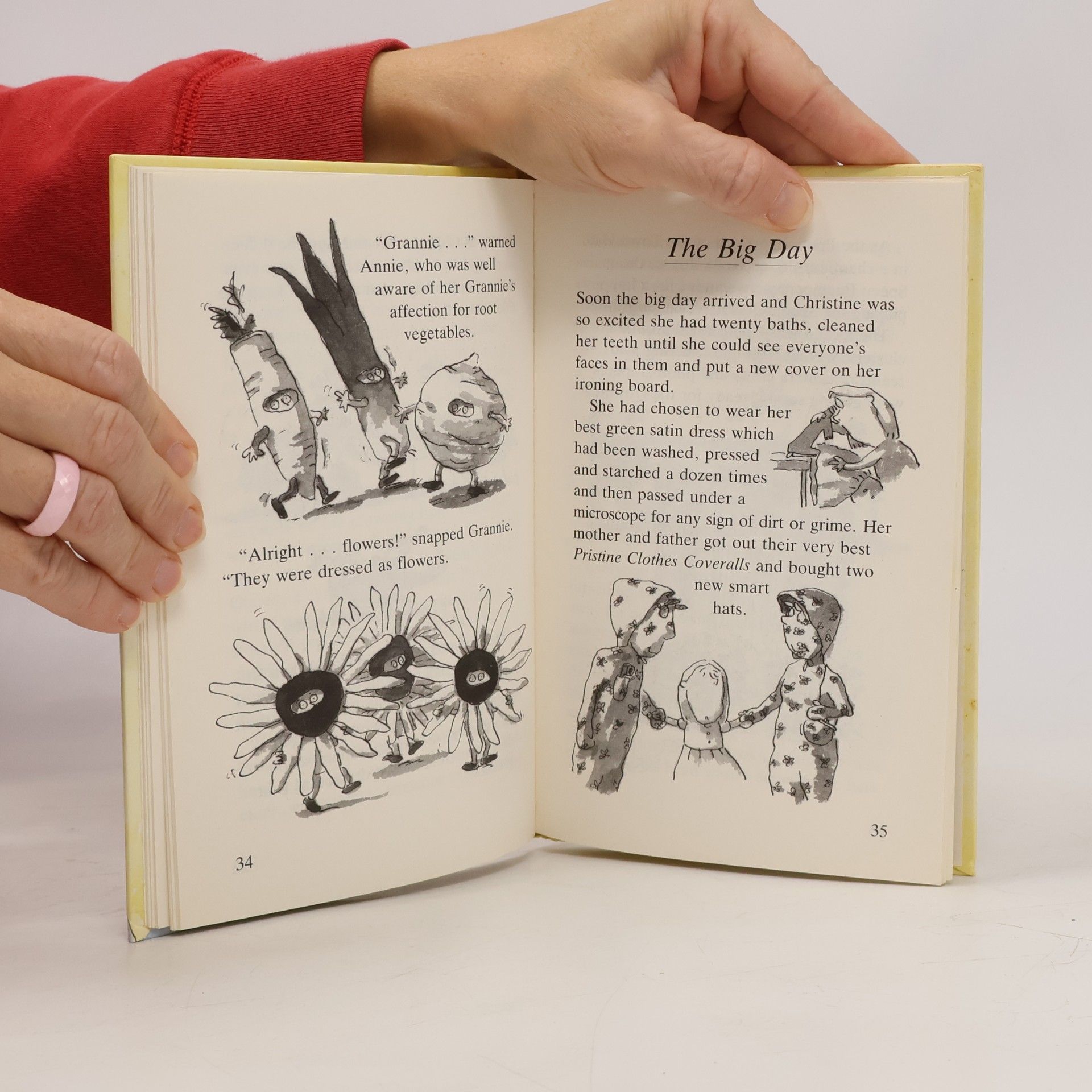 Mary Rees The Tale of Christine Pristine