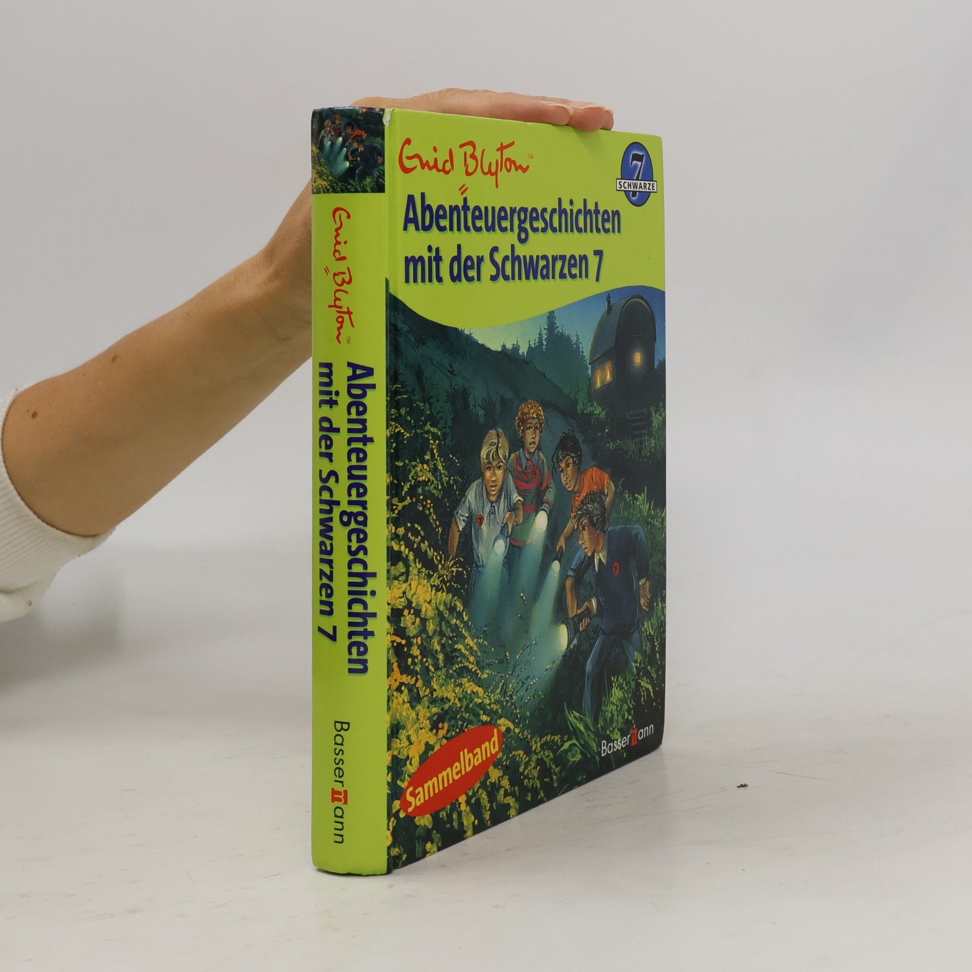 Enid Blyton Abenteuergeschichten mit der Schwarzen 7