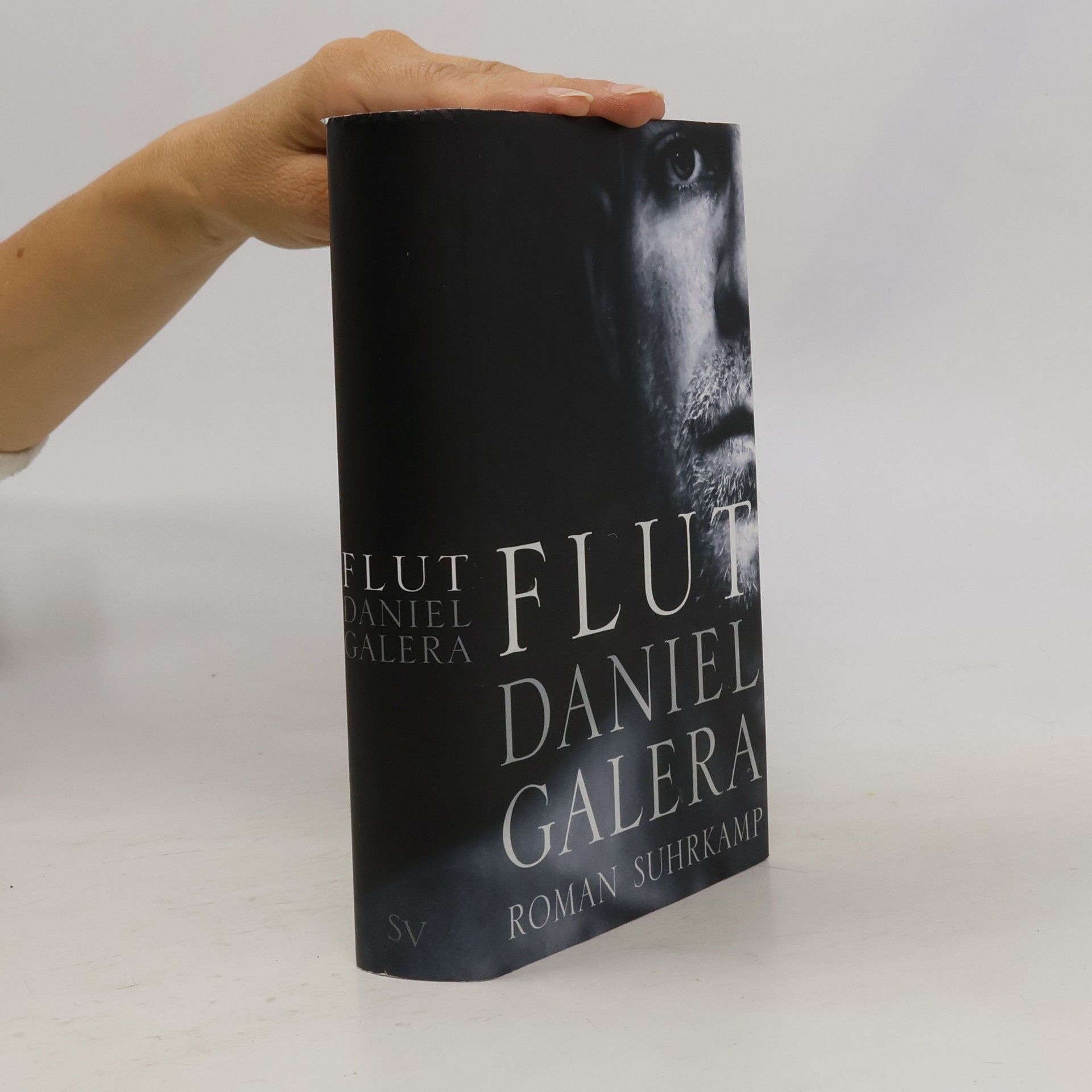 Daniel Galera Flut