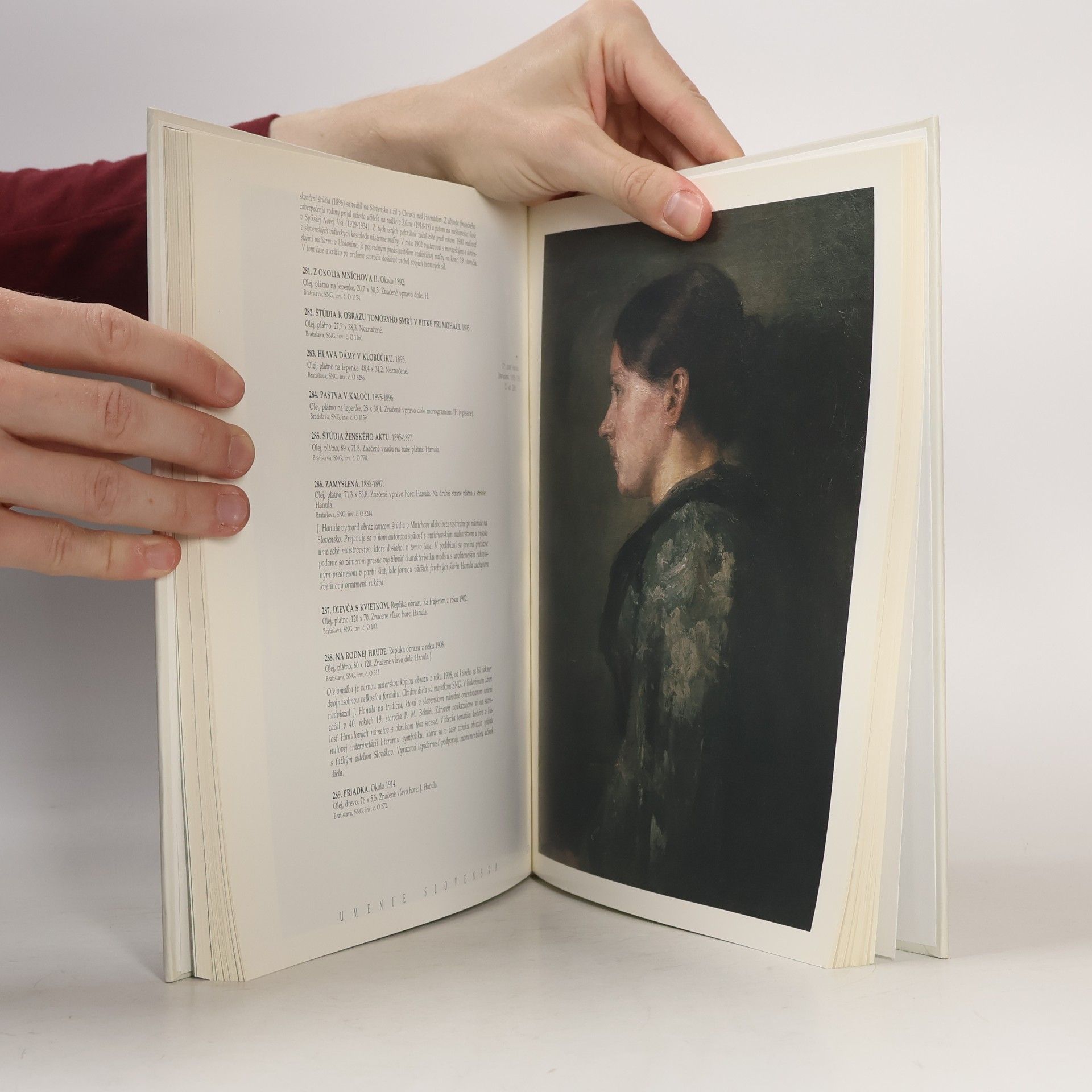 Various authors Umenie Slovenska : stále expozície Slovenskej národnej galérie