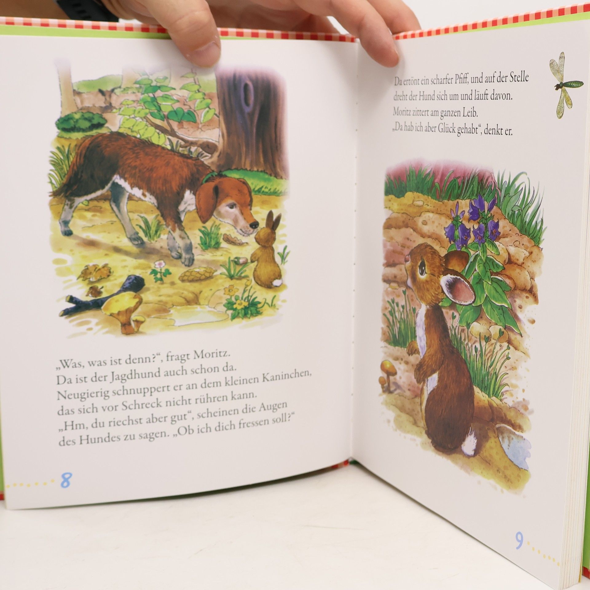 Anne Suess Meine schönsten Tierkinder-Geschichten