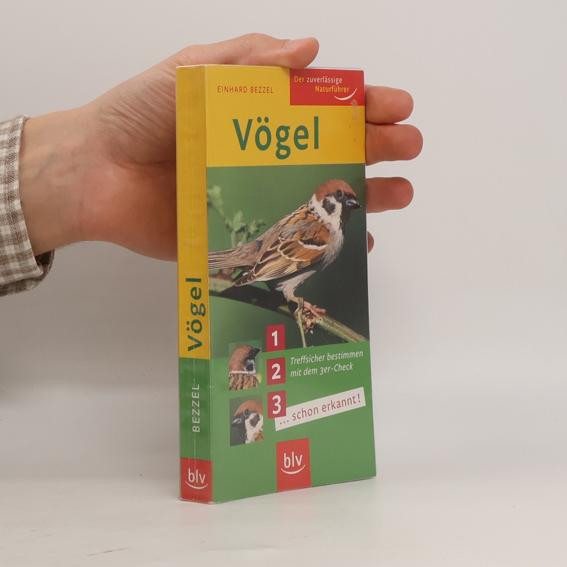 Vögel